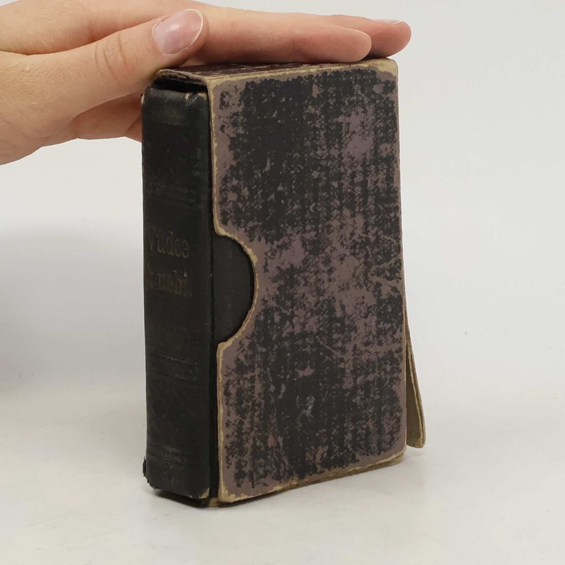 Kolektiv autorů Vůdce k nebi. Kniha modlitební a povzbuzující k zbožnosti pro křesťany katolické