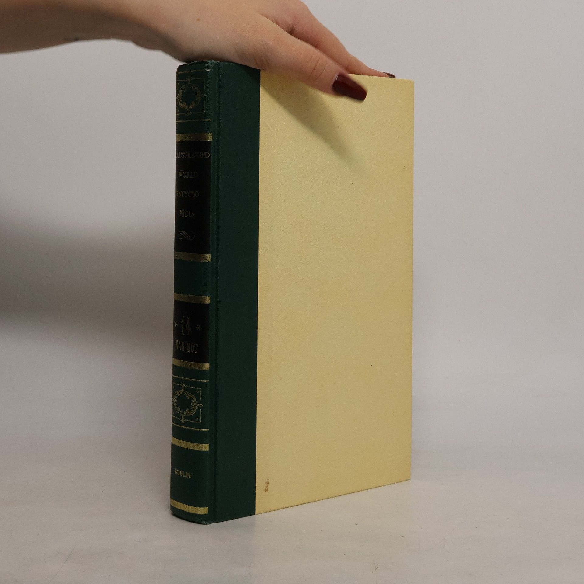 Kolektiv autorů Bobley Illustrated World Encyclopedia 14