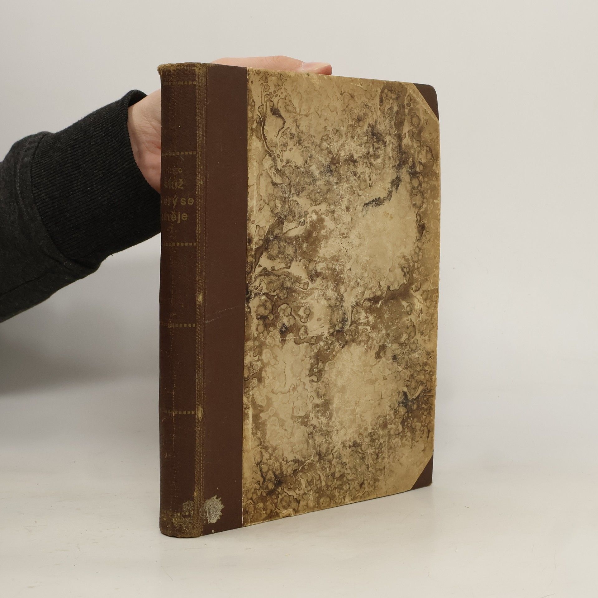 Victor Hugo Muž, který se směje II