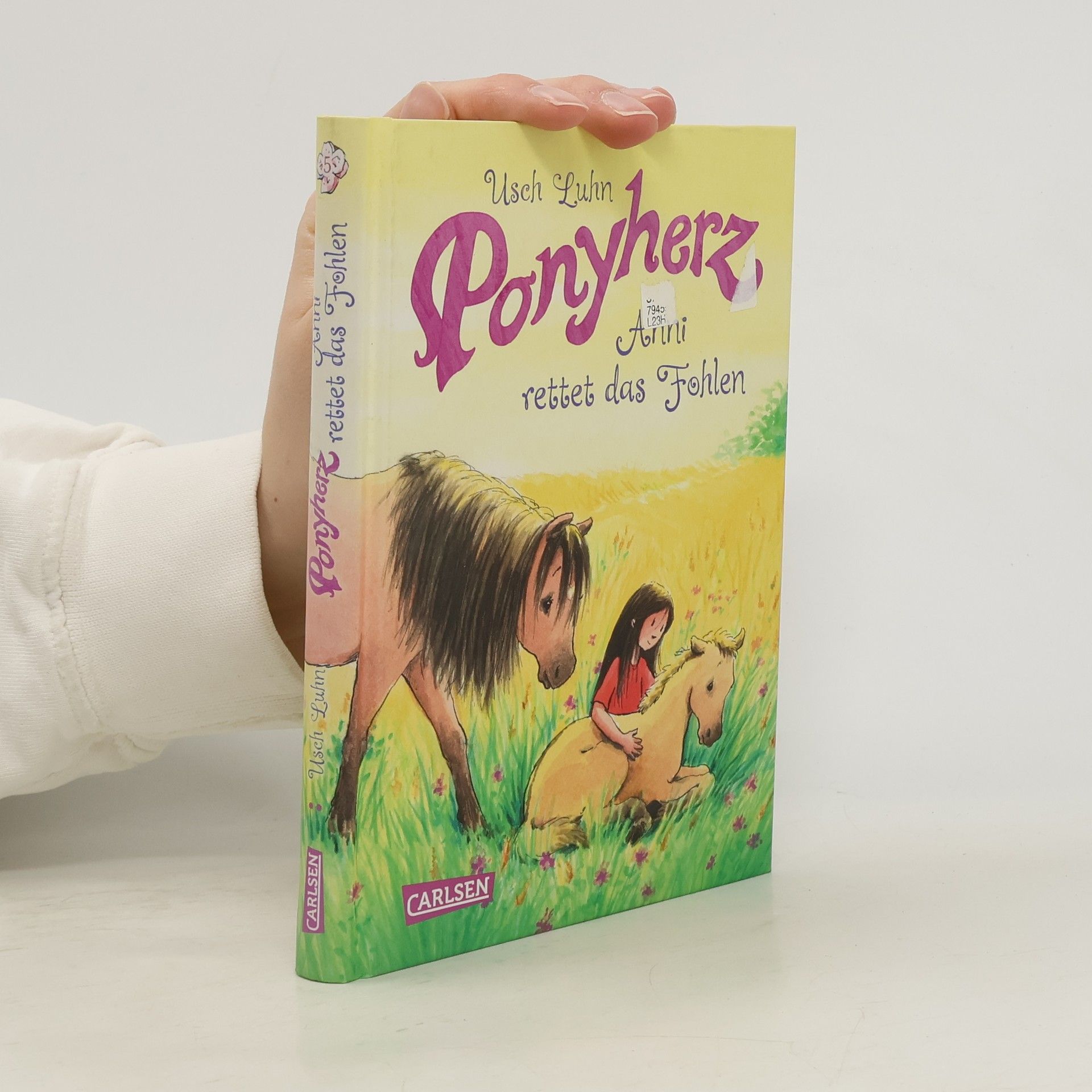 Usch Luhn Ponyherz - Anni rettet das Fohlen