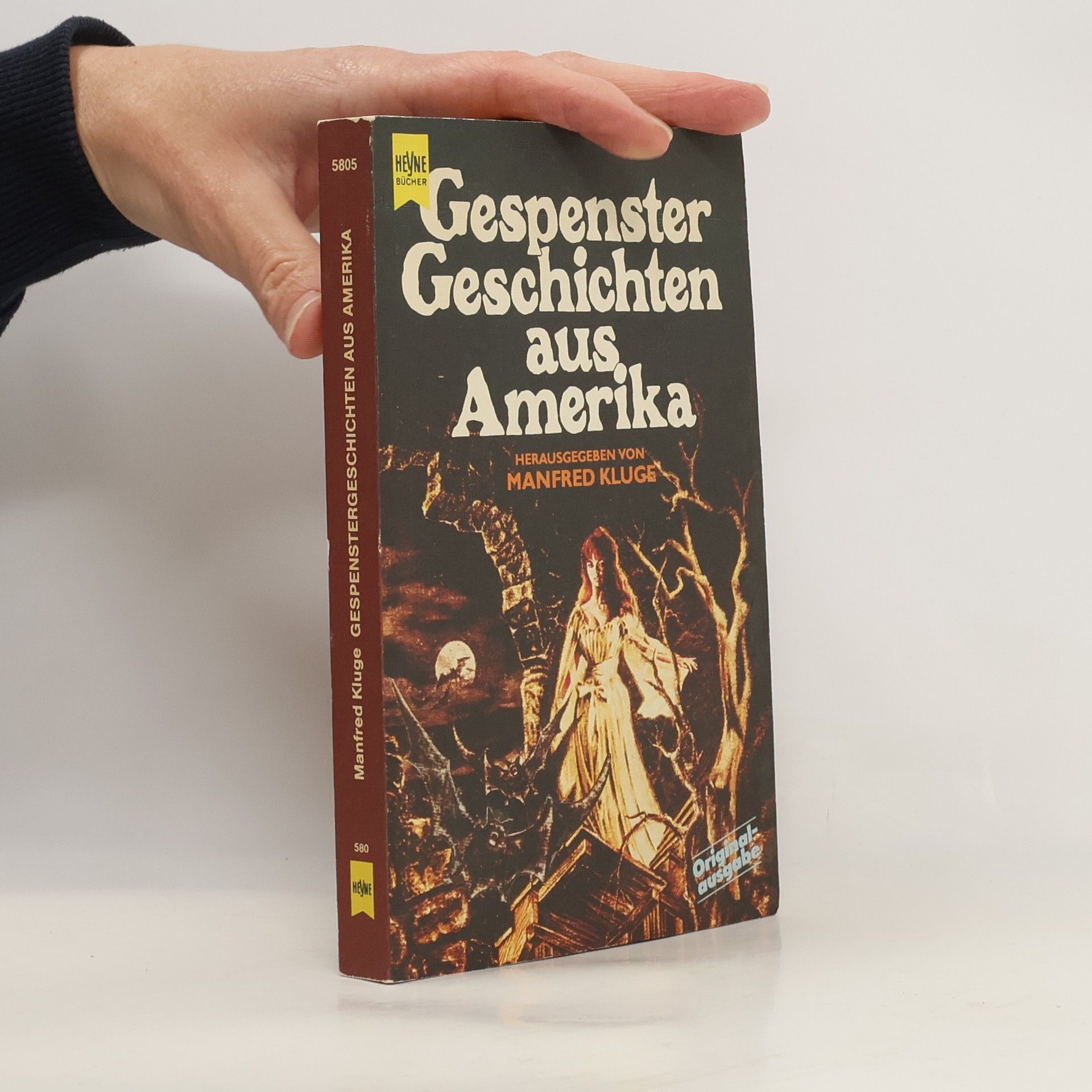 Manfred Kluge Gespenstergeschichten aus Amerika