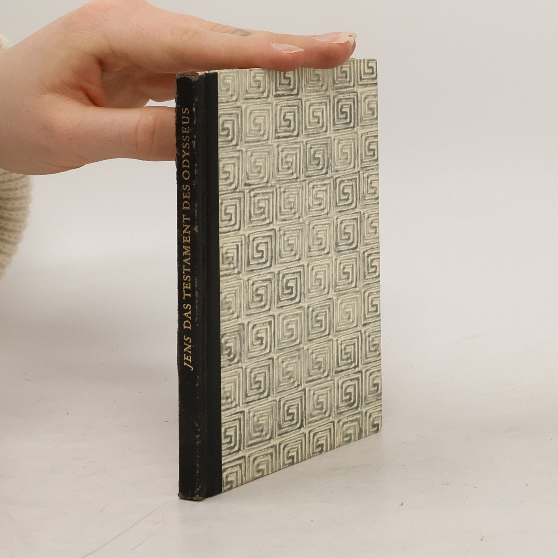 Jens-Walter Lüpkes Das Testament Des Odysseus