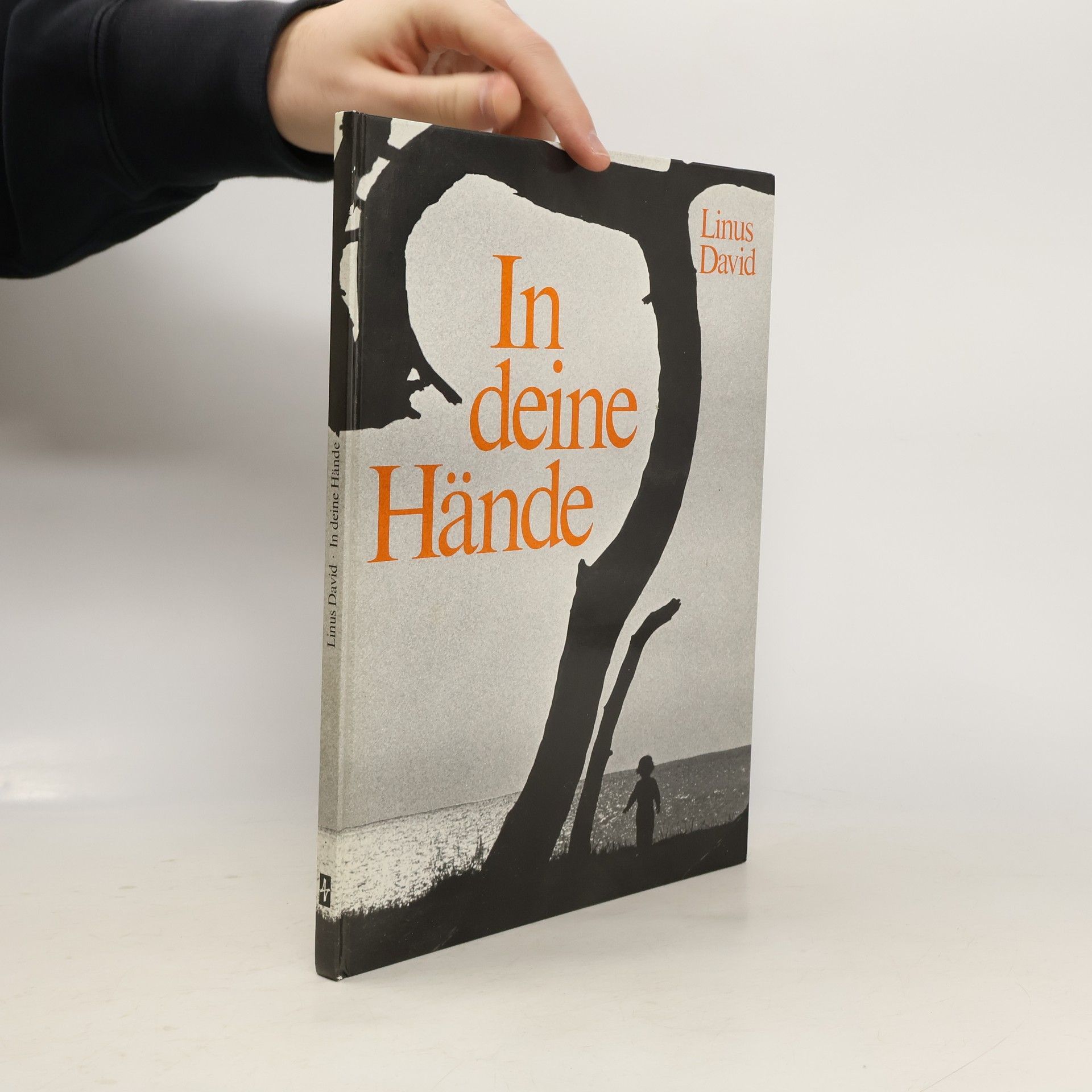 Linus David In deine Hände