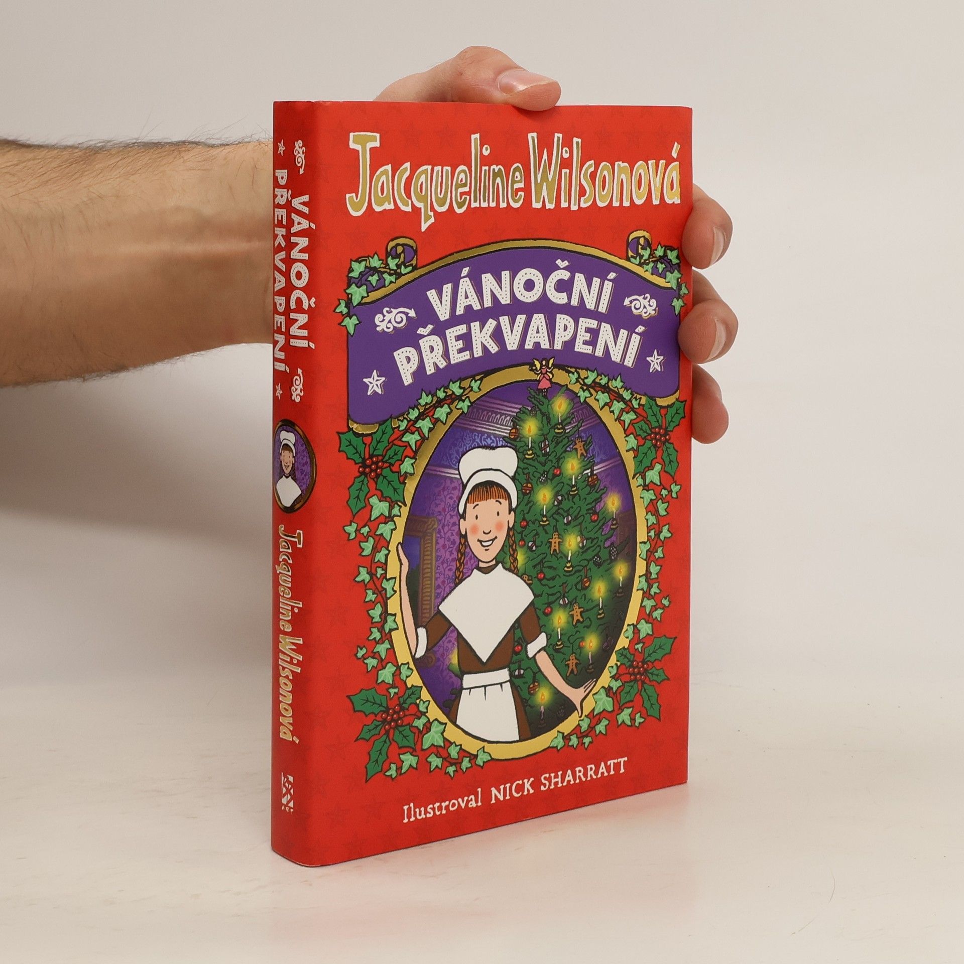 Jacqueline Wilson Vánoční překvapení