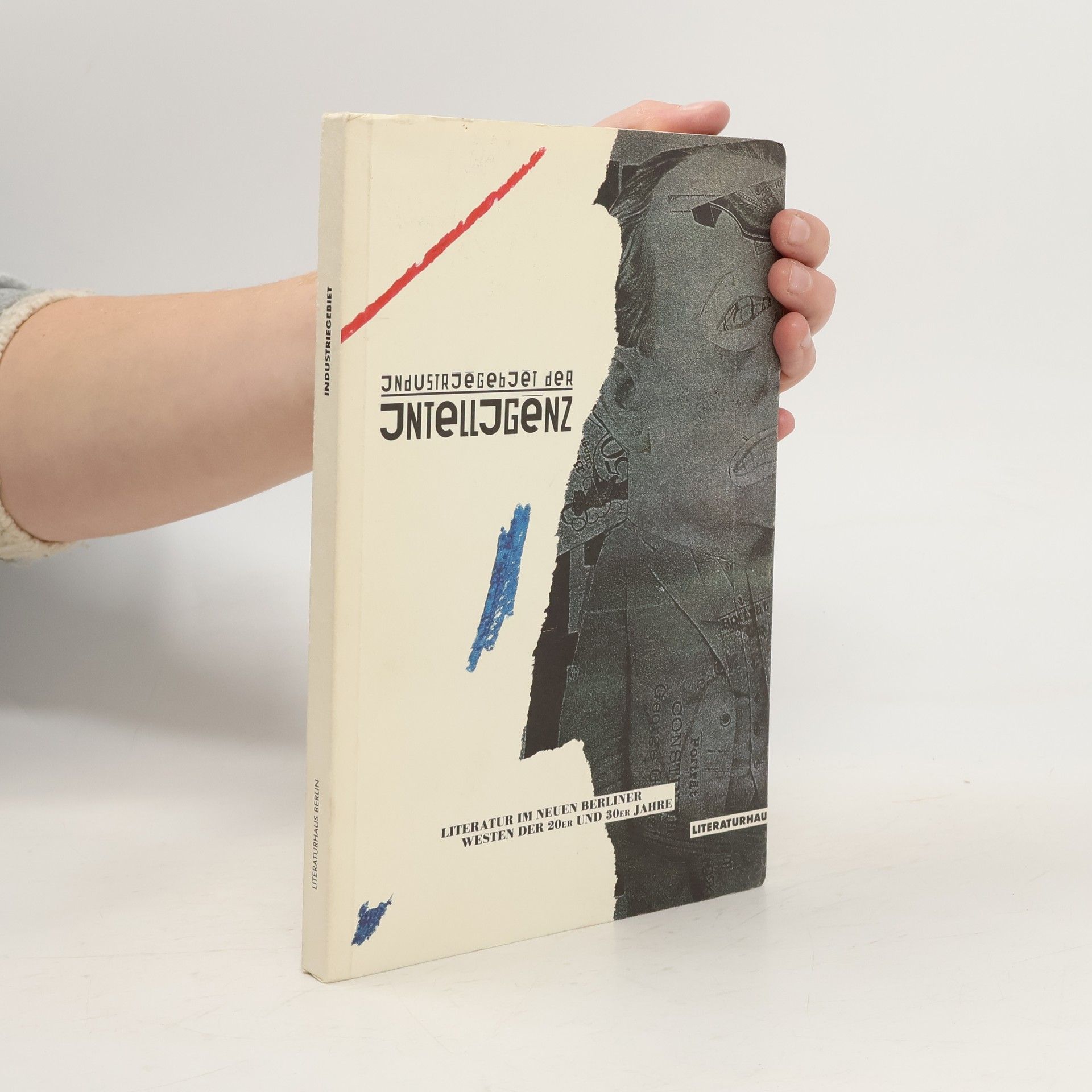 Ursula Krechel Industriegebiet der Intelligenz