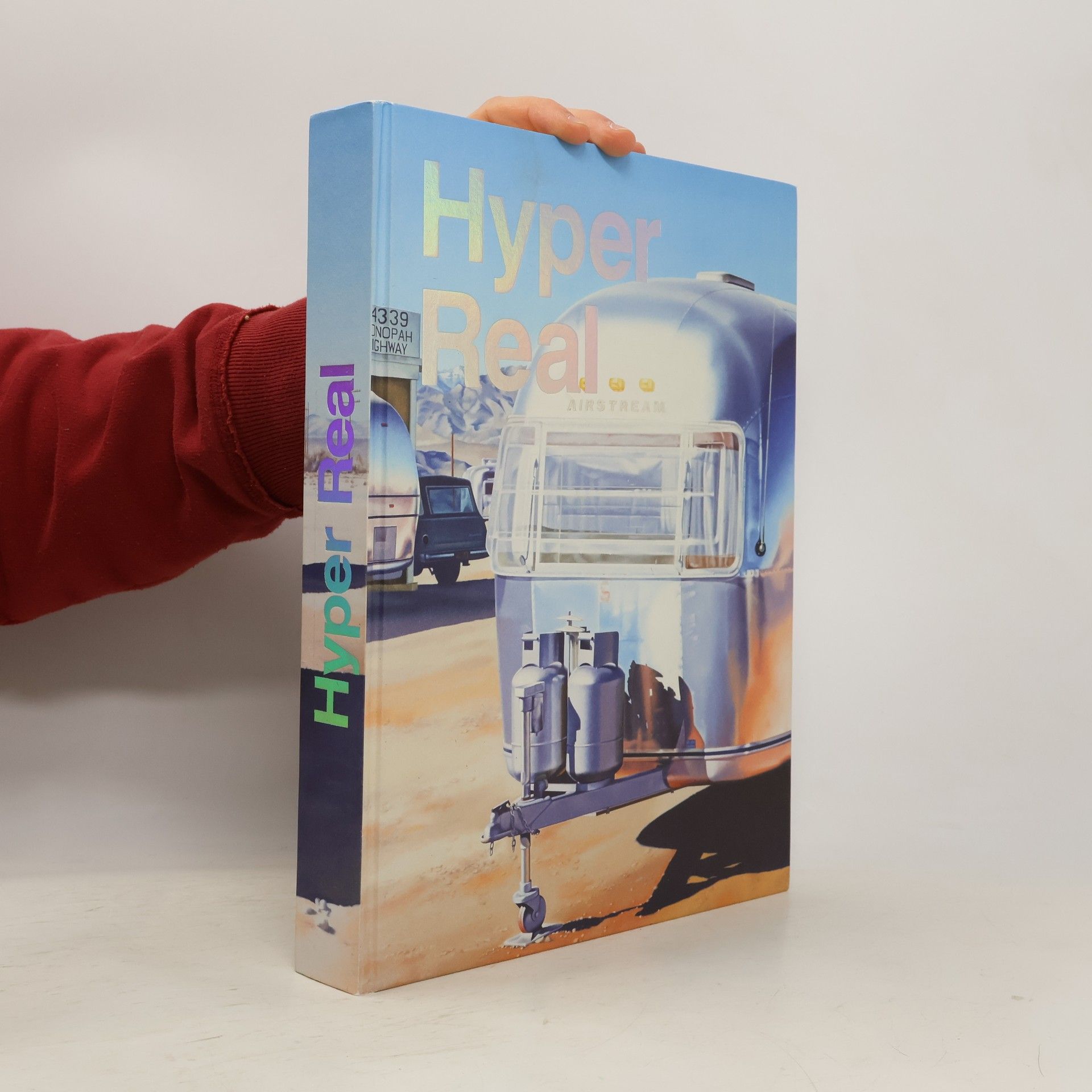 Brigitte Franzen Hyper Real