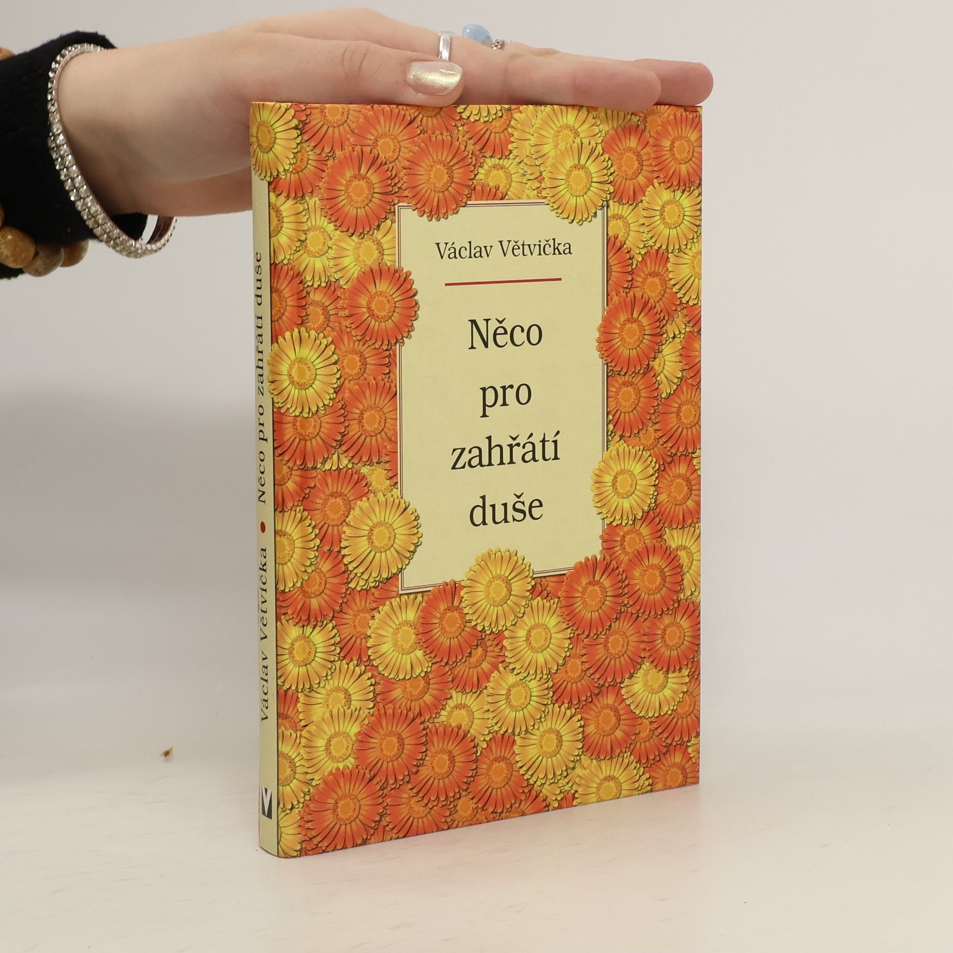 Václav Větvička Něco pro zahřátí duše