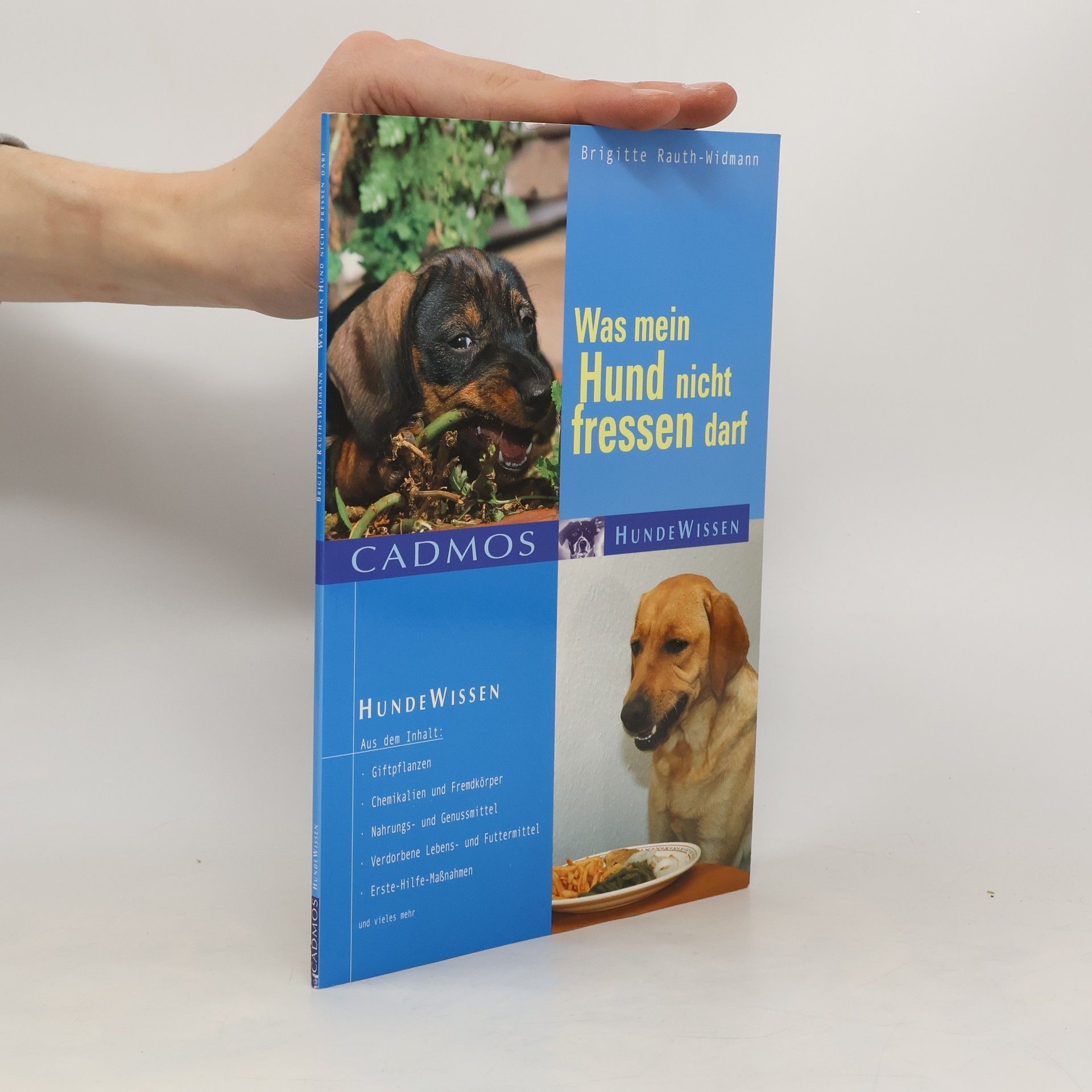 Was mein Hund nicht fressen darf