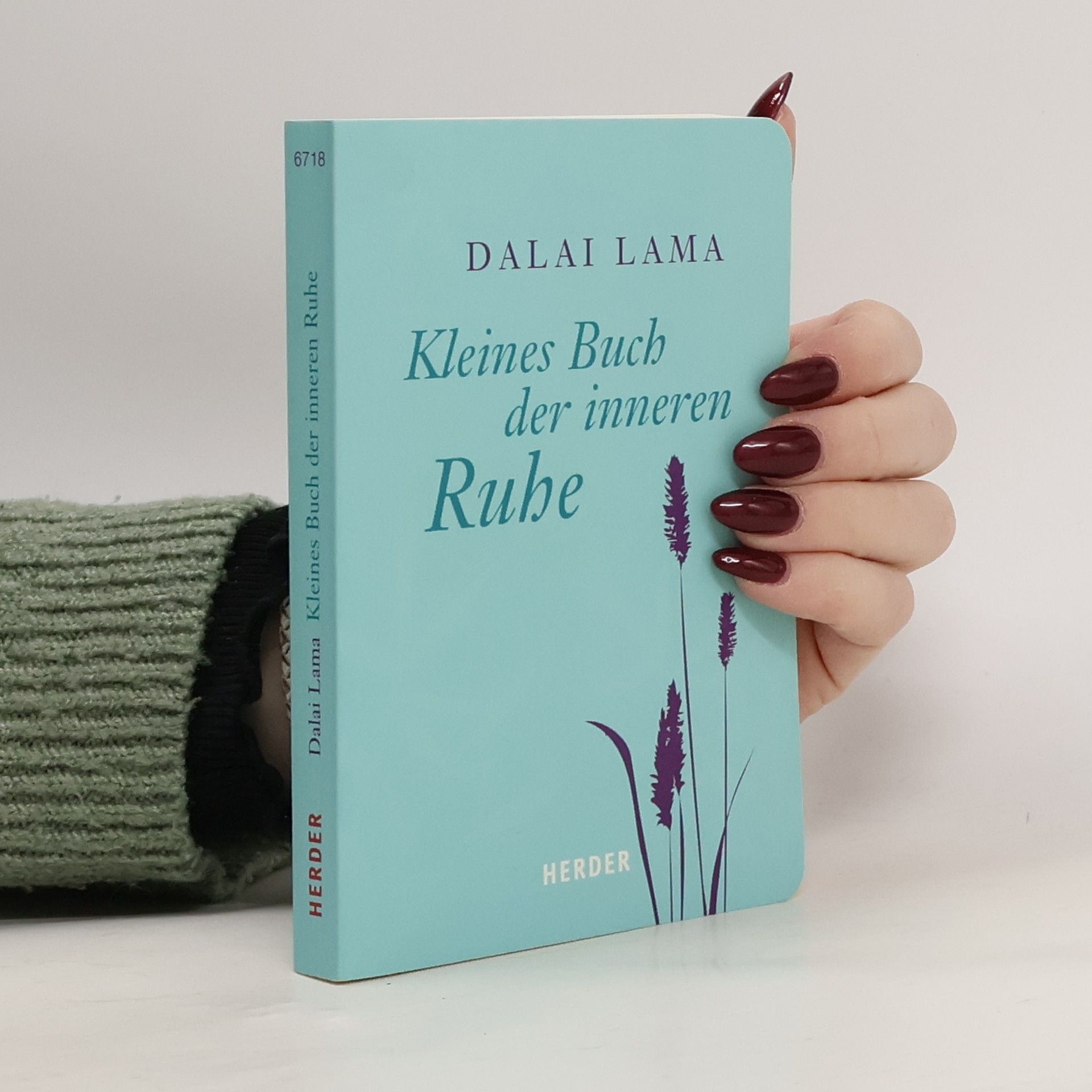Dalajlama Kleines Buch der inneren Ruhe