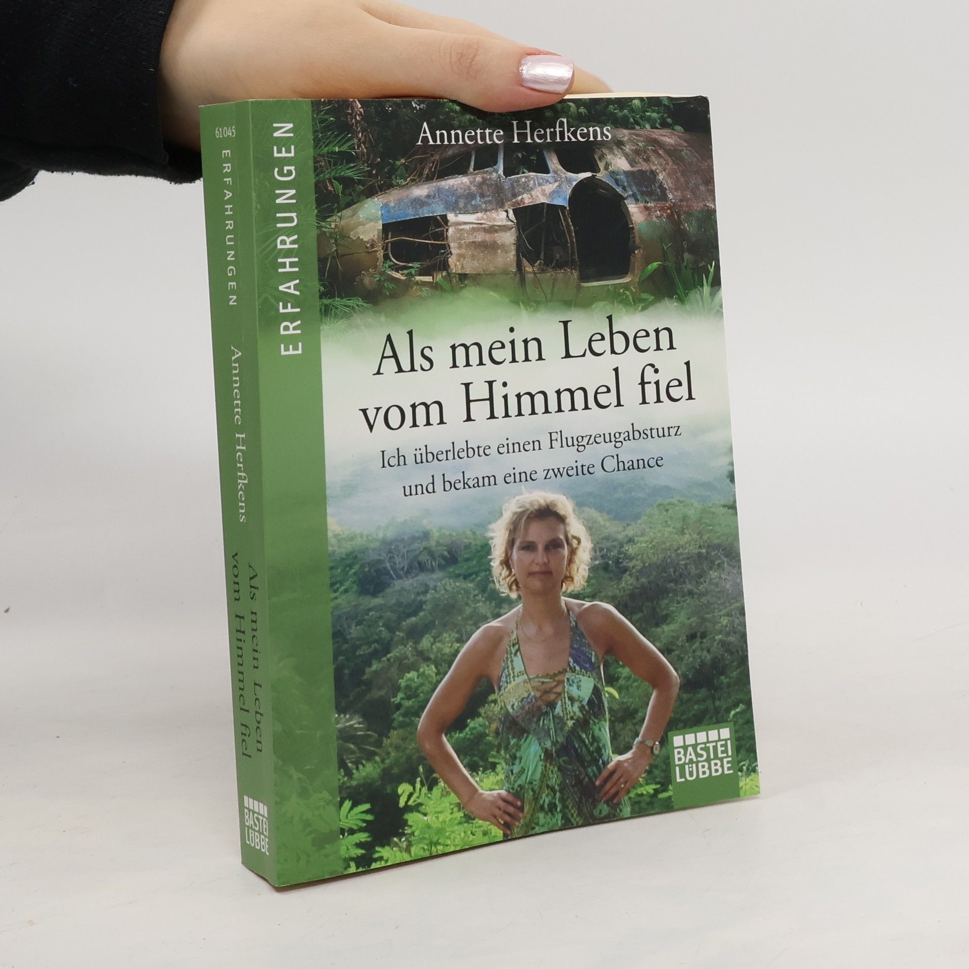 Als mein Leben vom Himmel fiel