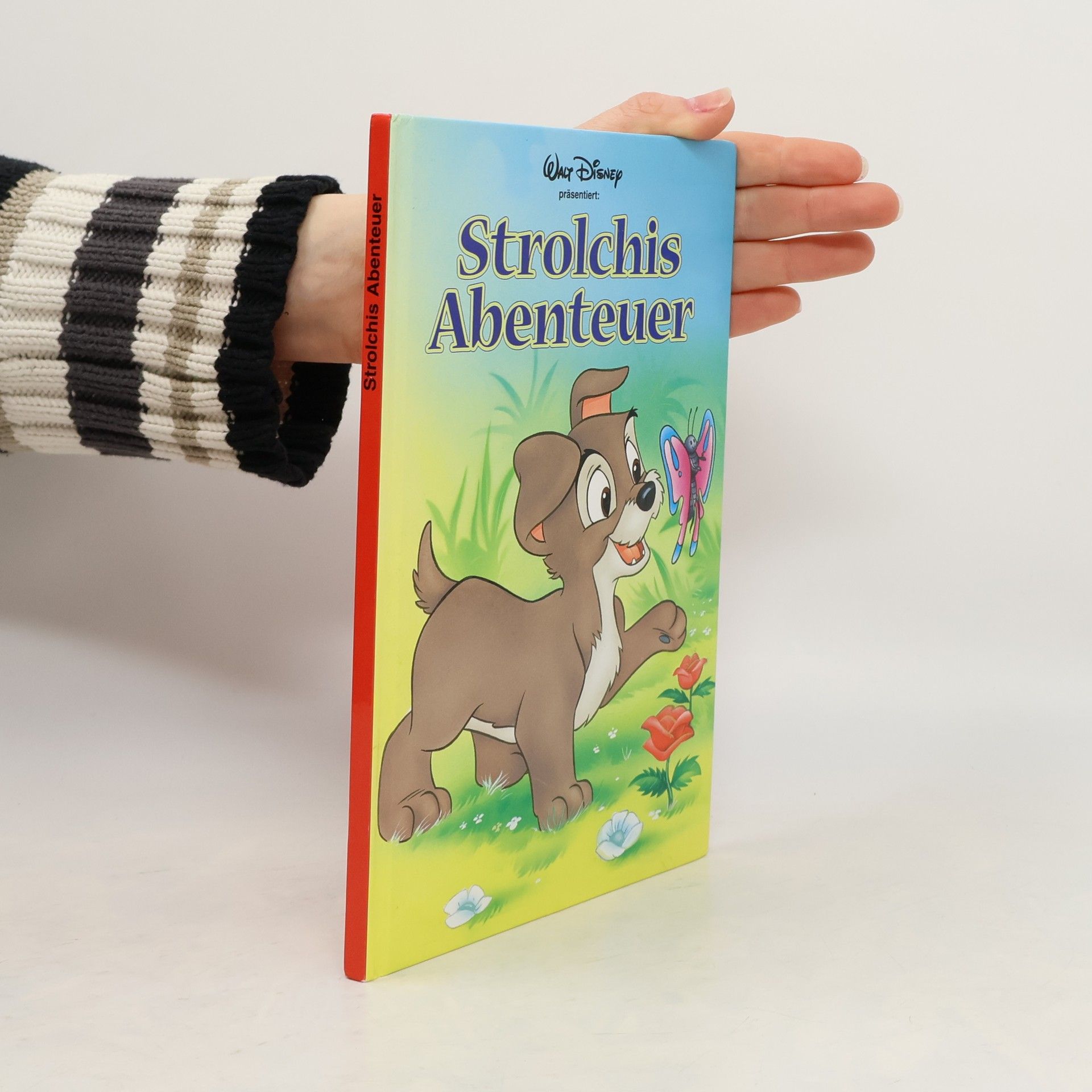 Autorenkollektiv Strolchis Abenteuer