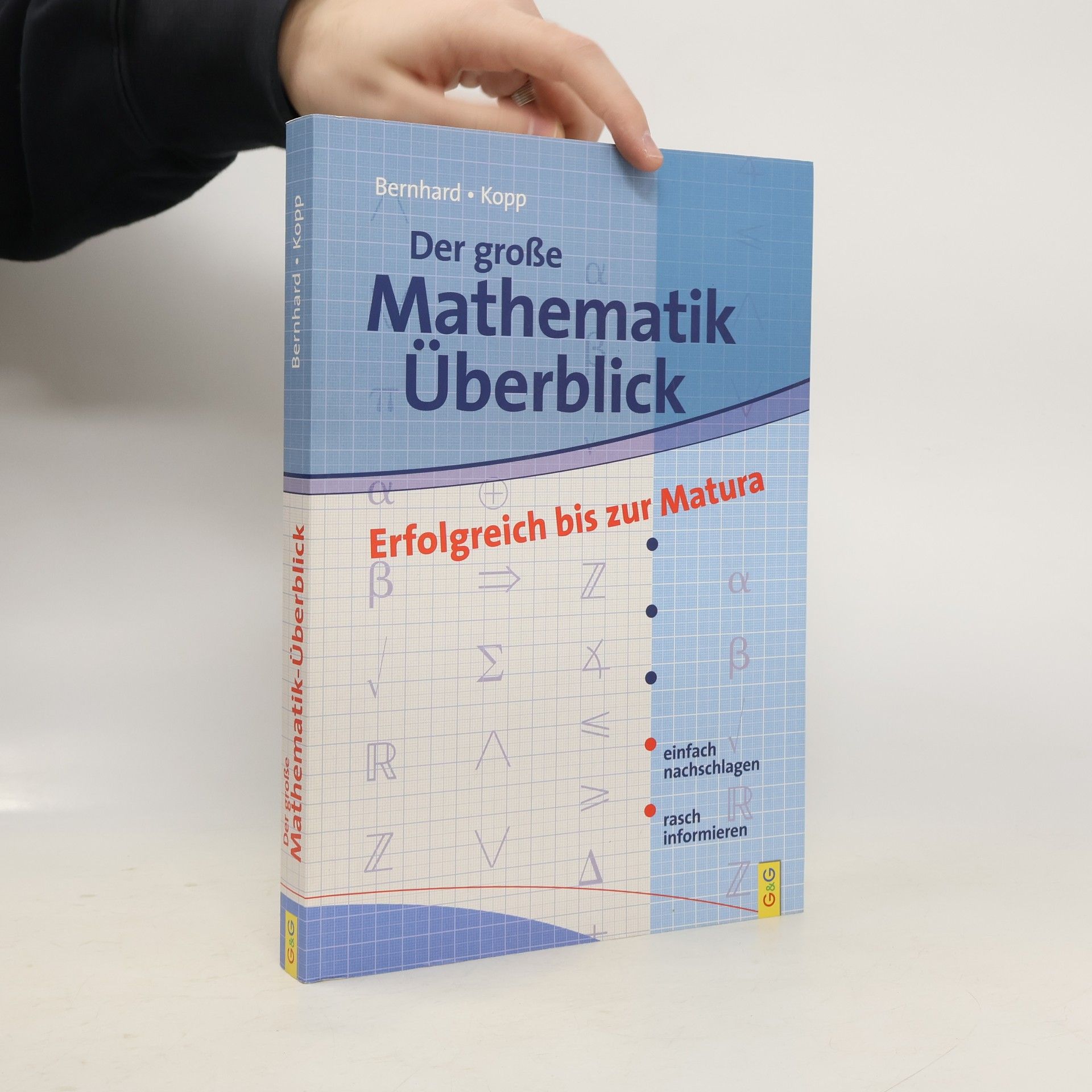 Martin Bernhard Der große Mathematik-Überblick
