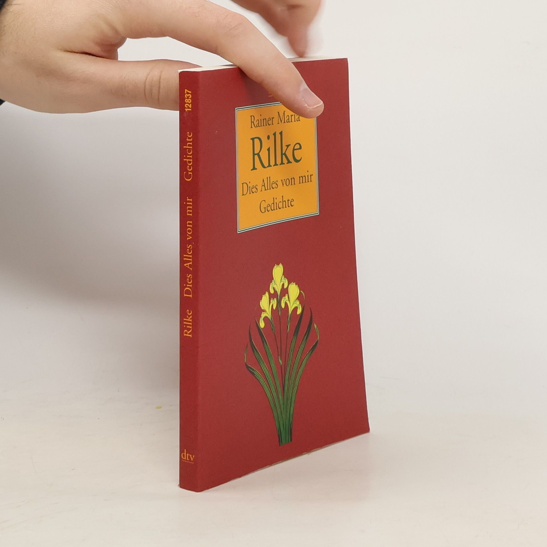 Rainer Maria Rilke Dies Alles von mir Gedichte