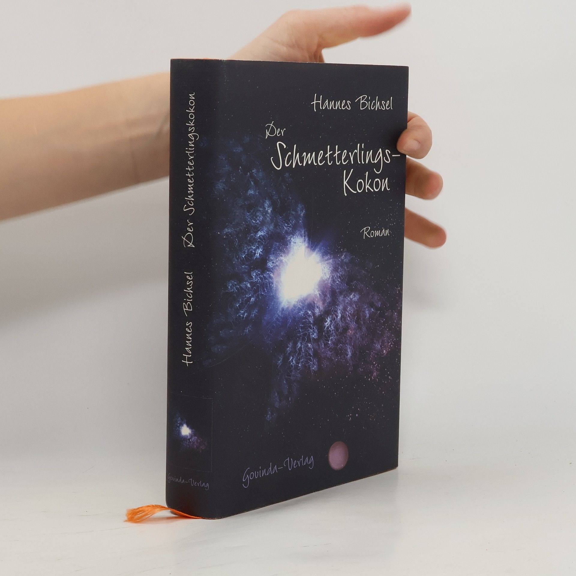 Hannes Bichsel Der Schmetterlingskokon