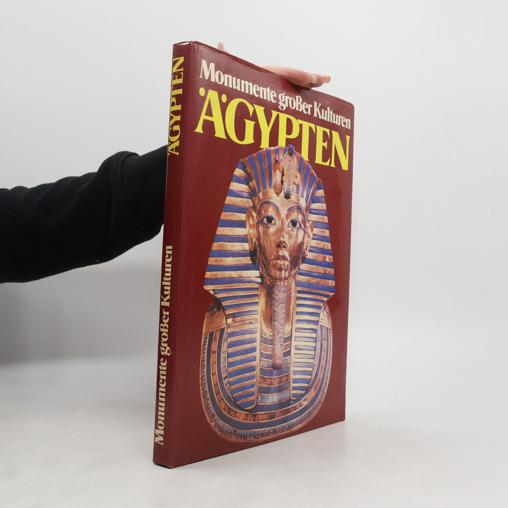 Auteurscollectief Ägypten, Monumente Großer Kulturen