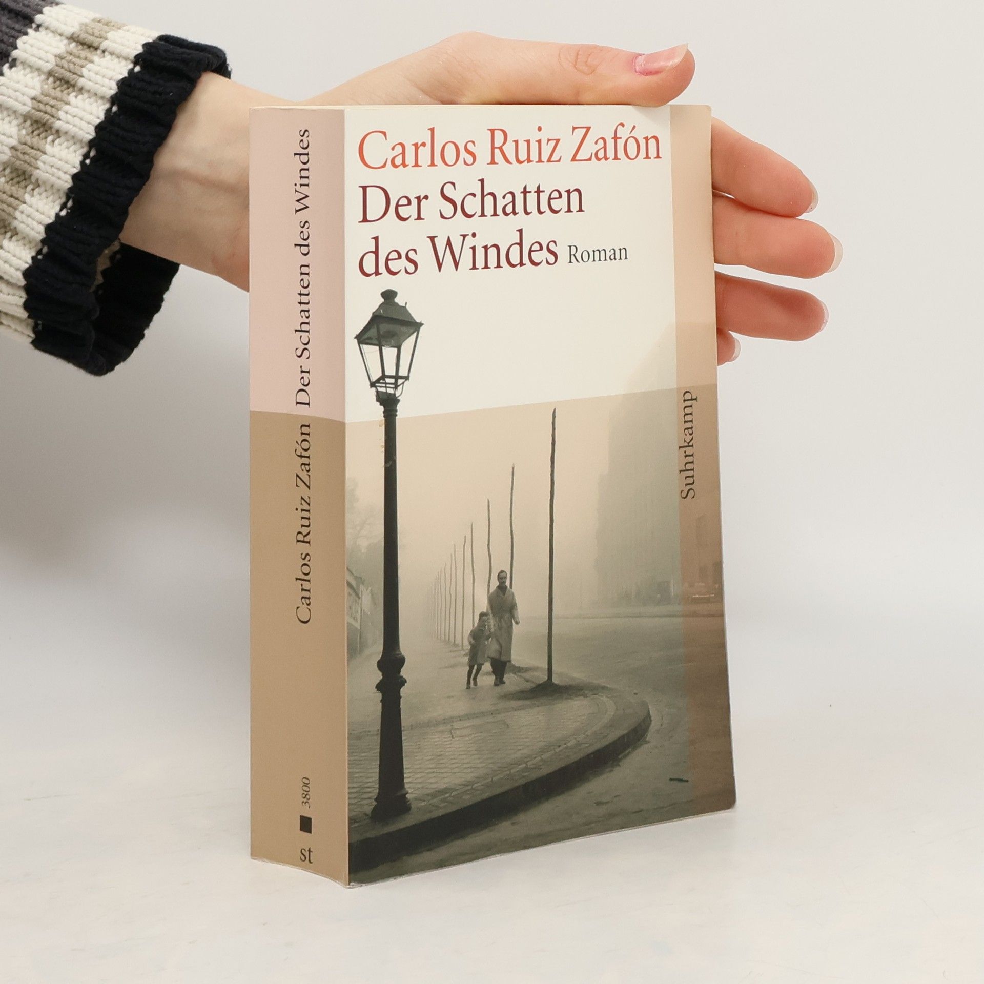 Der Schatten des Windes