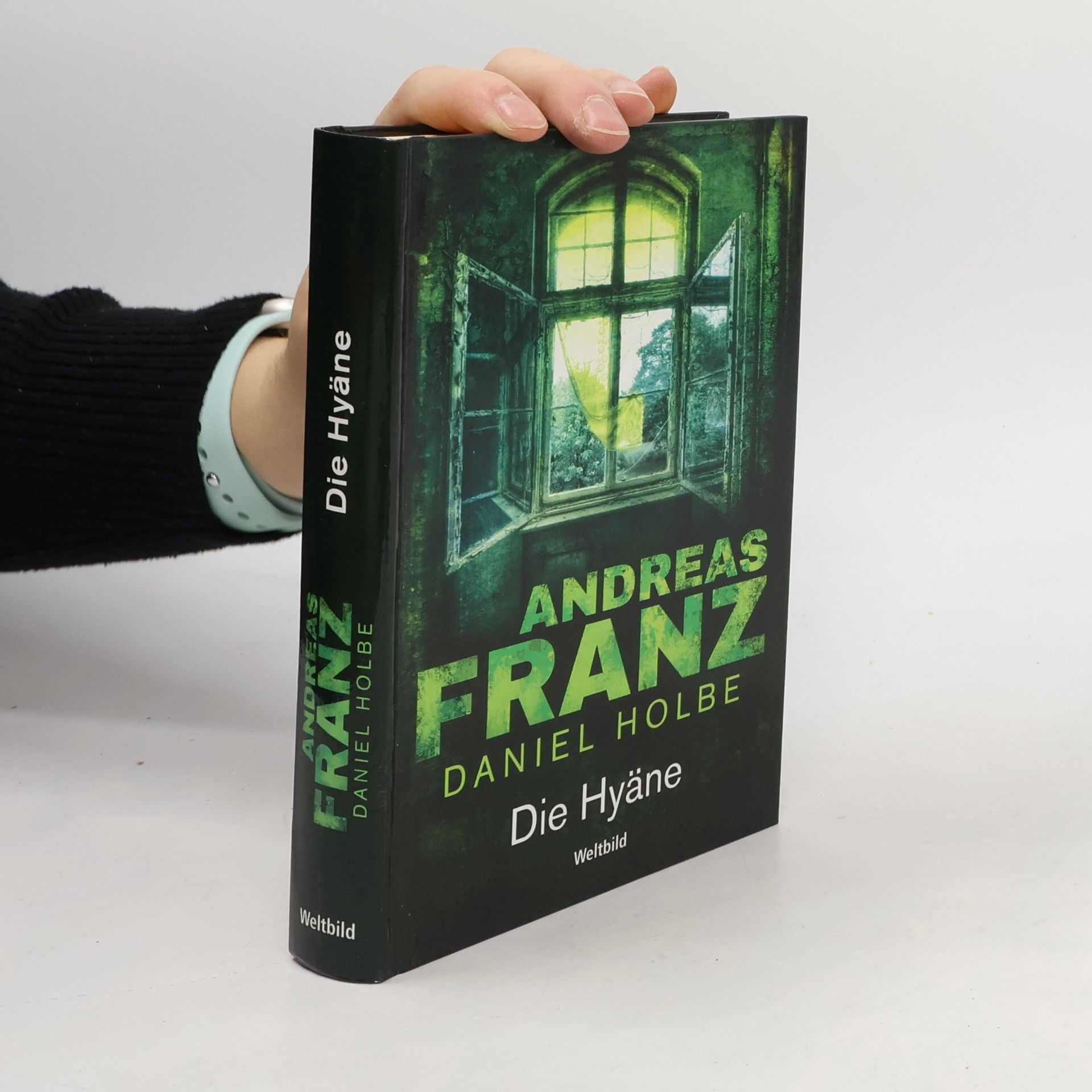 Daniel Holbe Die Hyäne