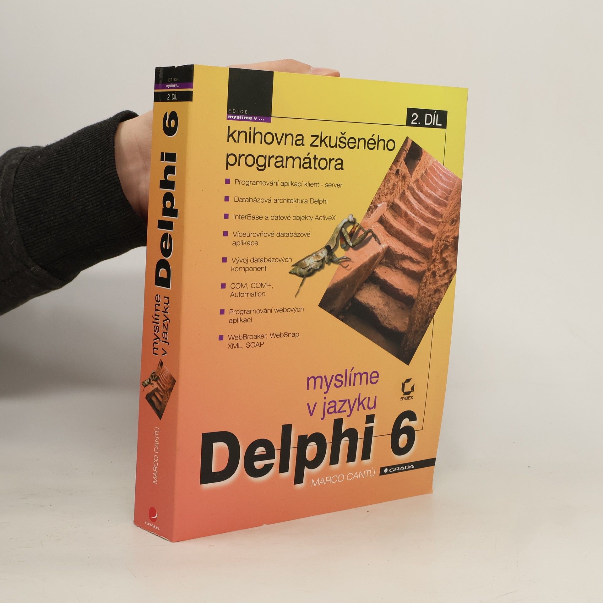 Myslíme v jazyku Delphi 6, 2. díl