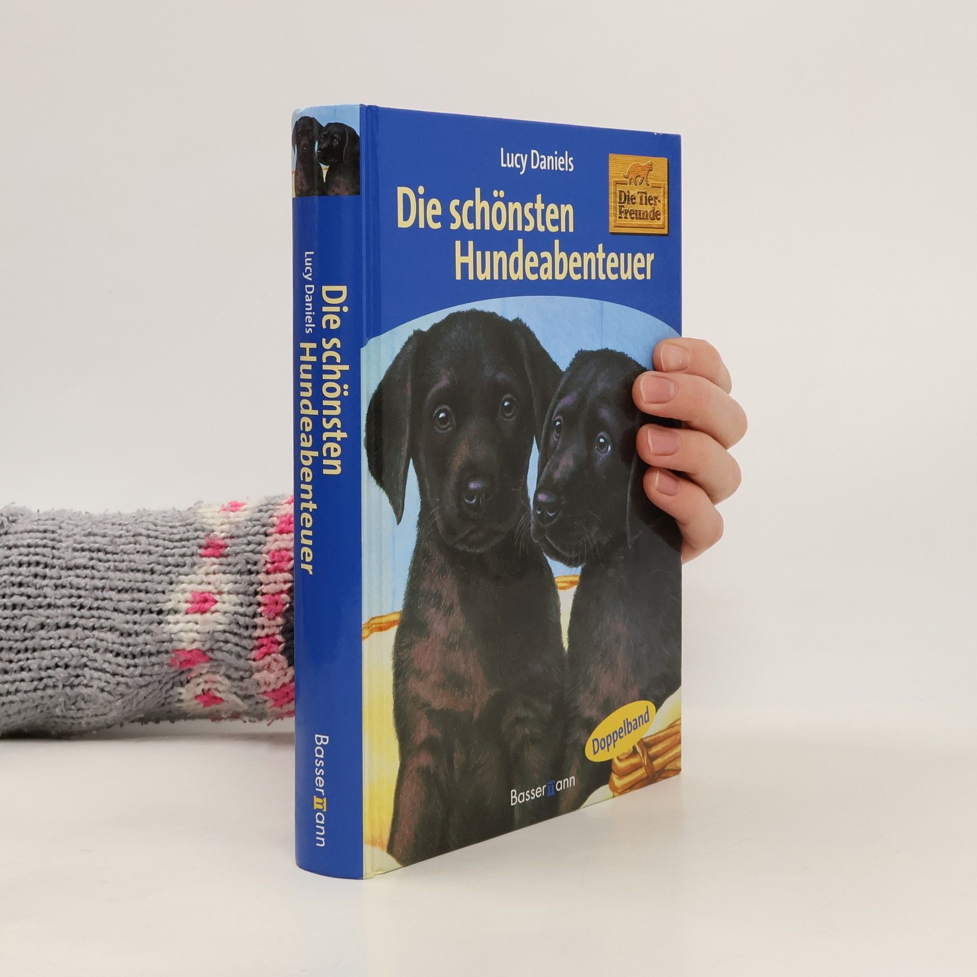 Lucy Daniels Die schönsten Hundeabenteuer