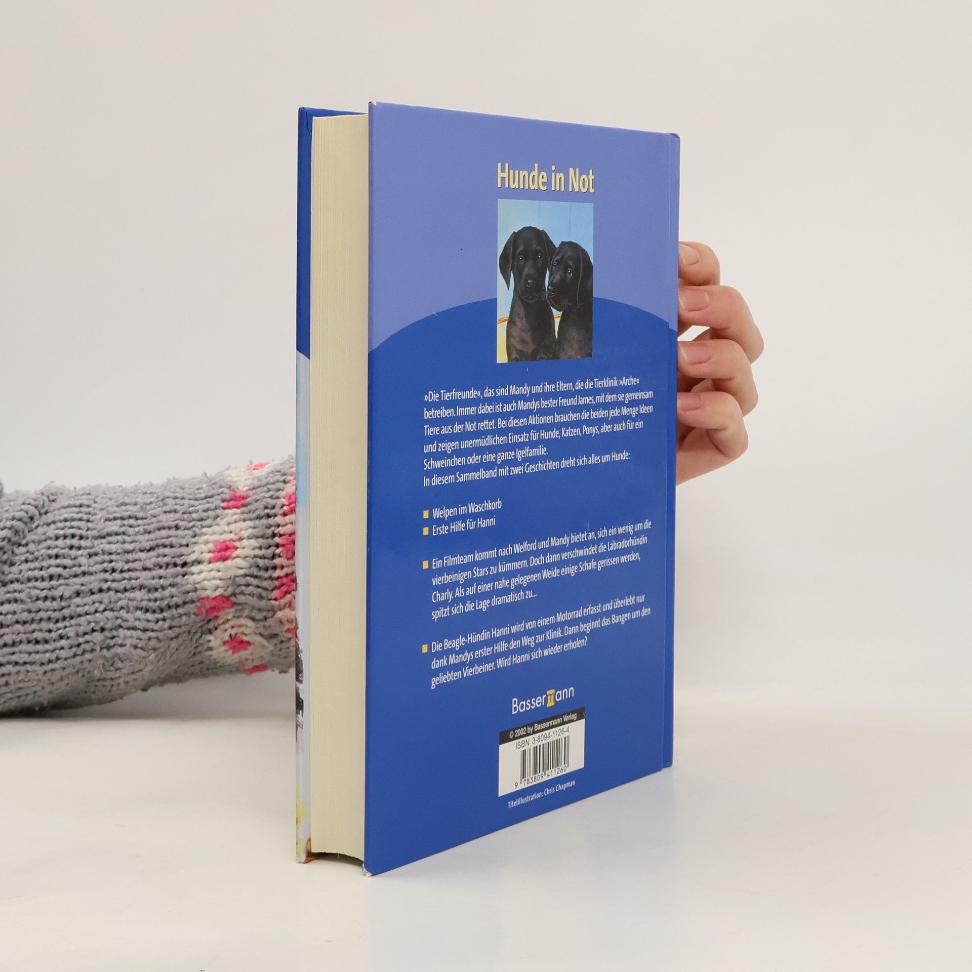 Lucy Daniels Die schönsten Hundeabenteuer