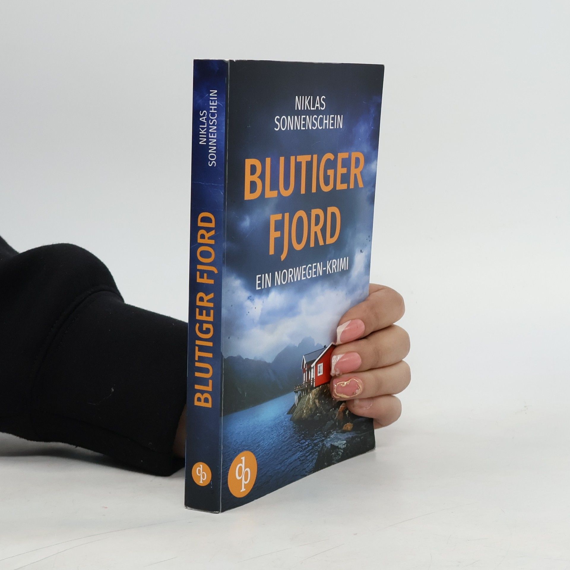 Niklas Sonnenschein Blutiger Fjord: Ein Norwegen-Krimi