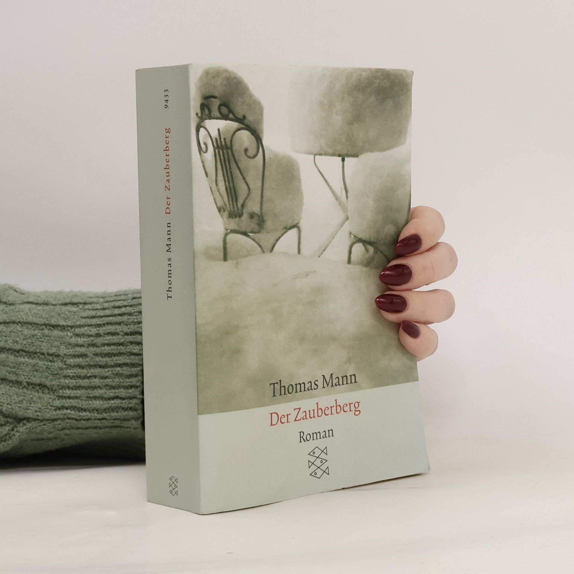 Thomas Mann Der Zauberberg