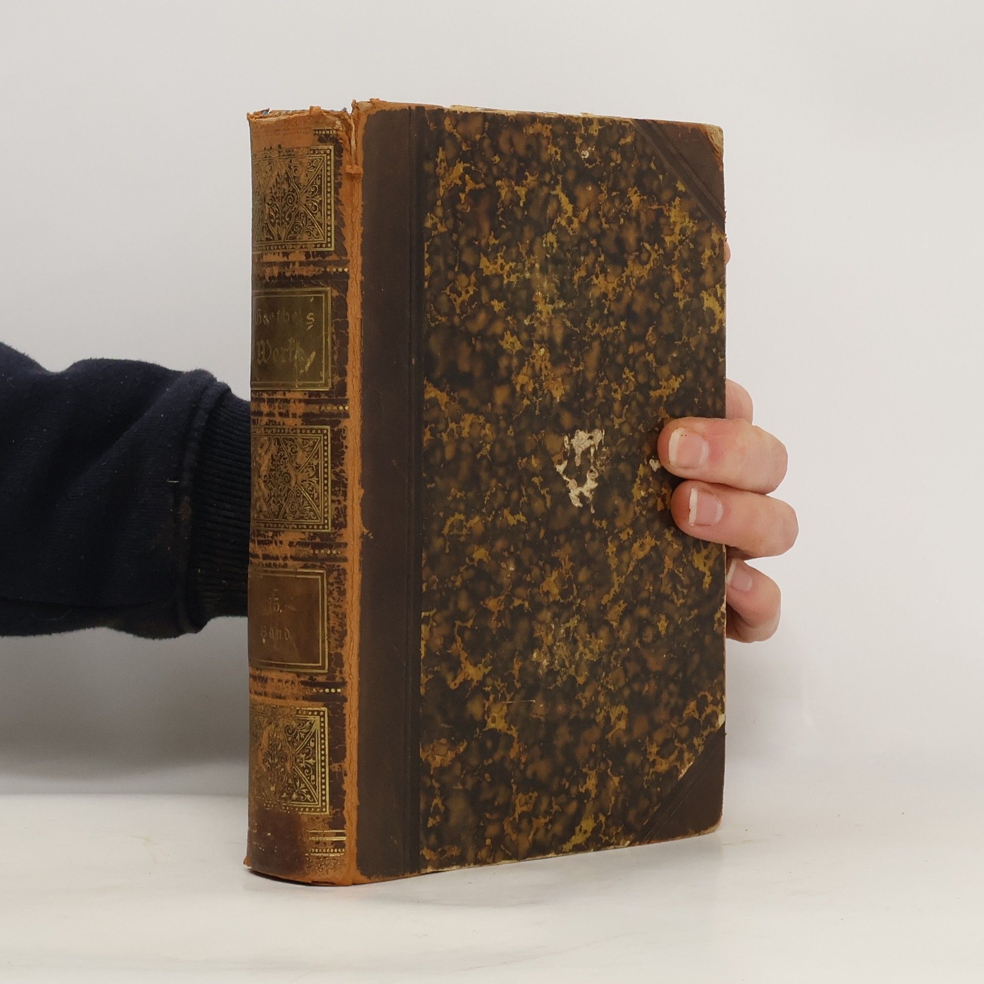 Johann Wolfgang von Goethe Goethes Sämmtliche Werke 15