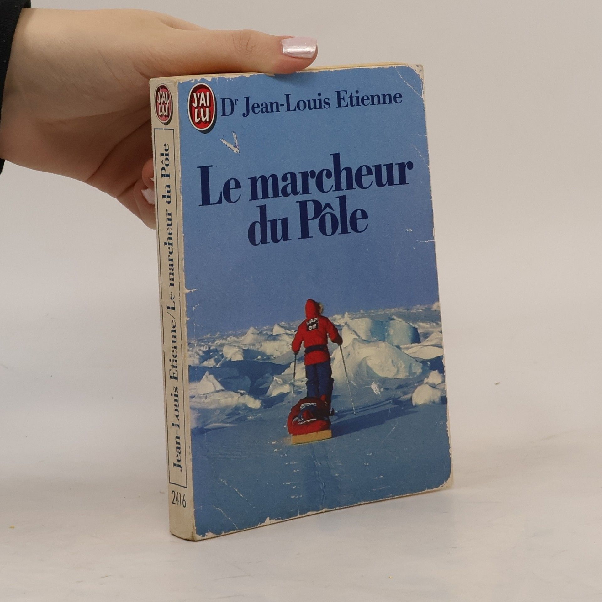 Le marcheur du pôle