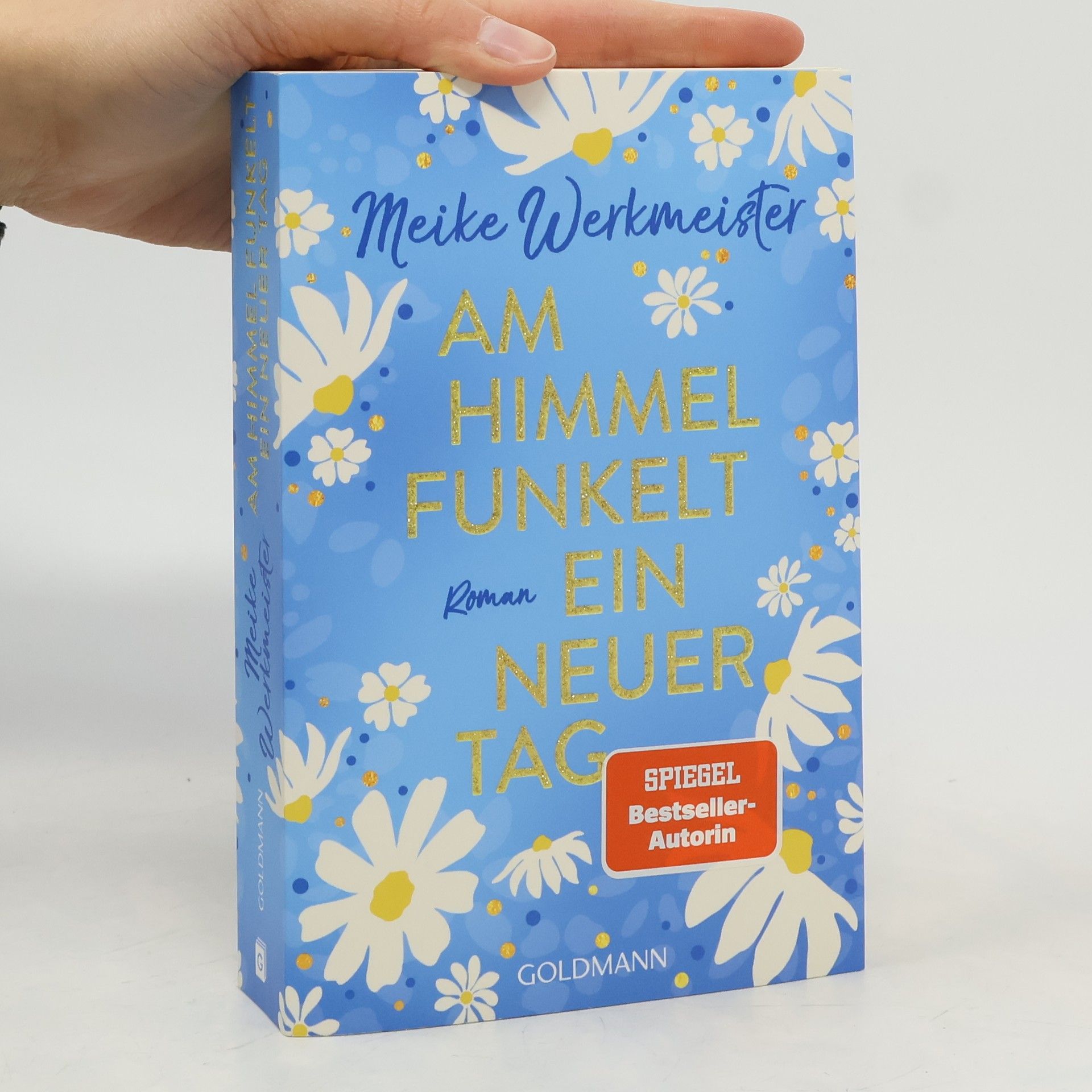 Meike Werkmeister Am Himmel funkelt ein neuer Tag