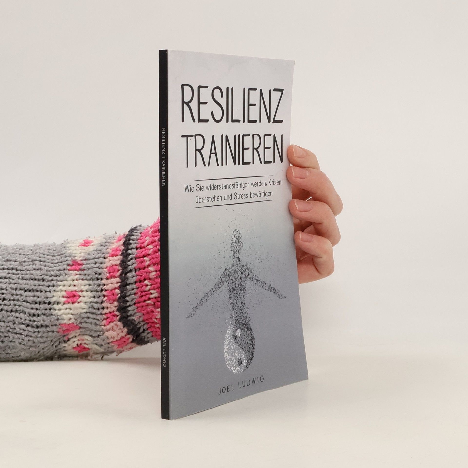 Joel Ludwig Resilienz trainieren