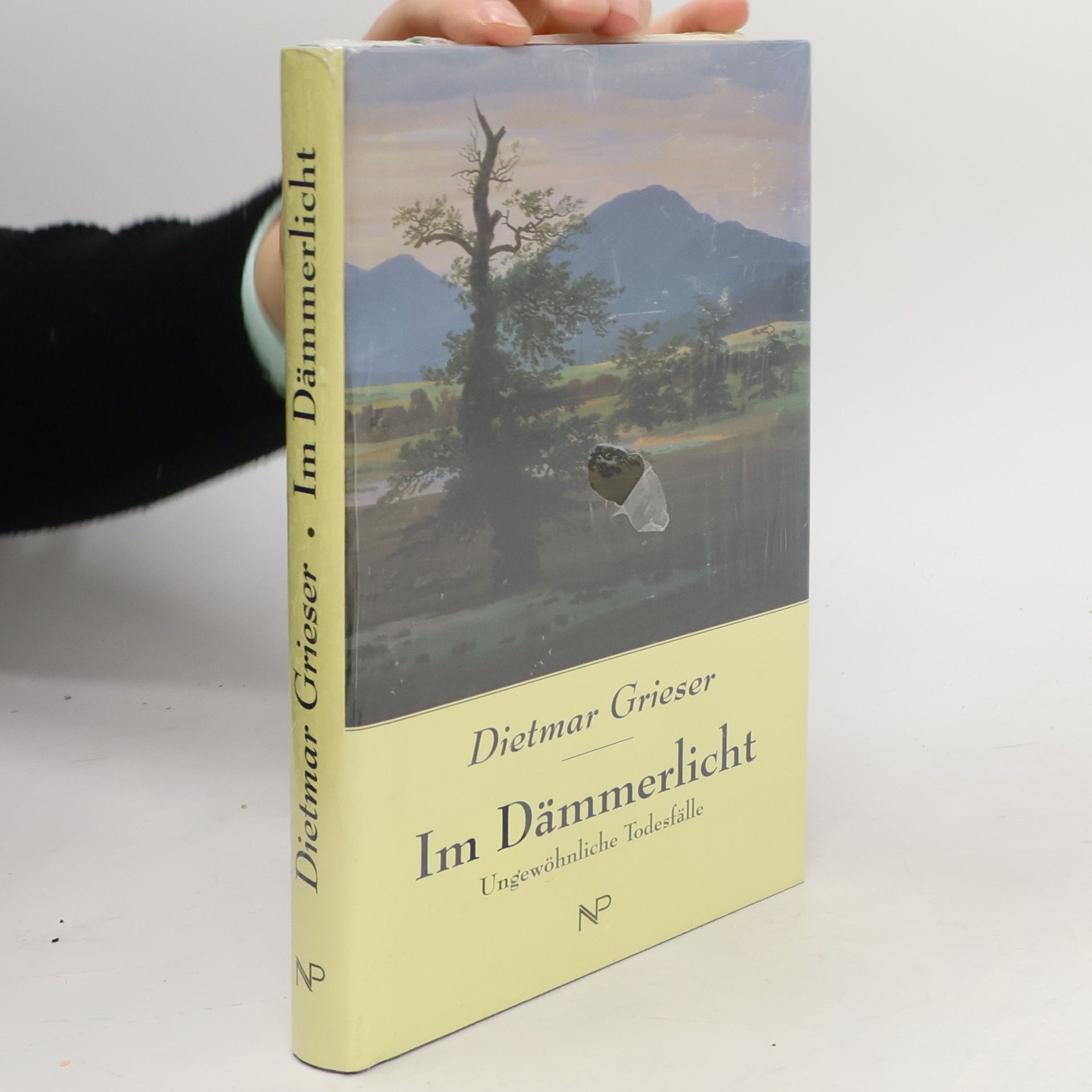 Dietmar Grieser Im Dämmerlicht