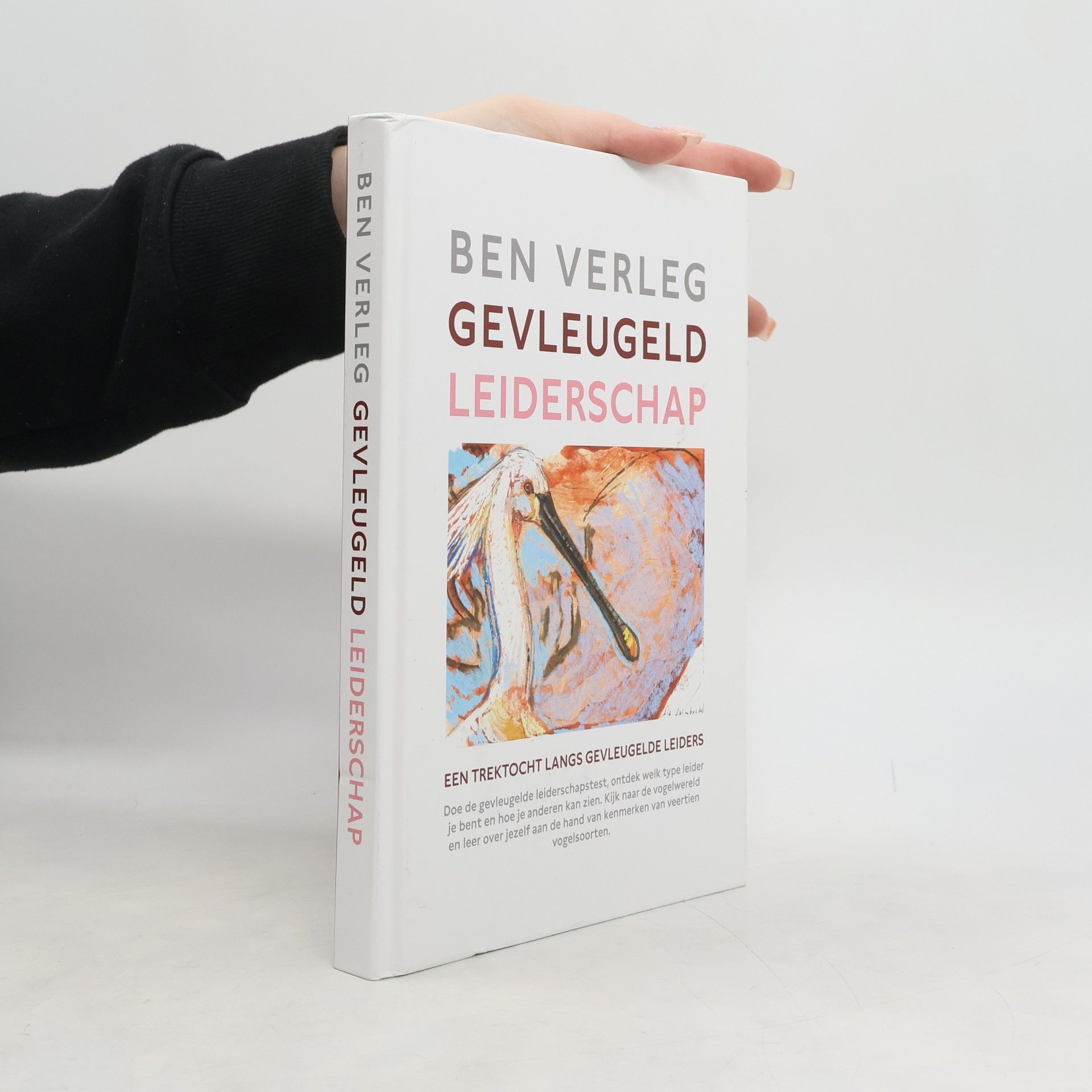 Benedictus Gerardus Raymundus Maria Verleg Gevleugeld leiderschap