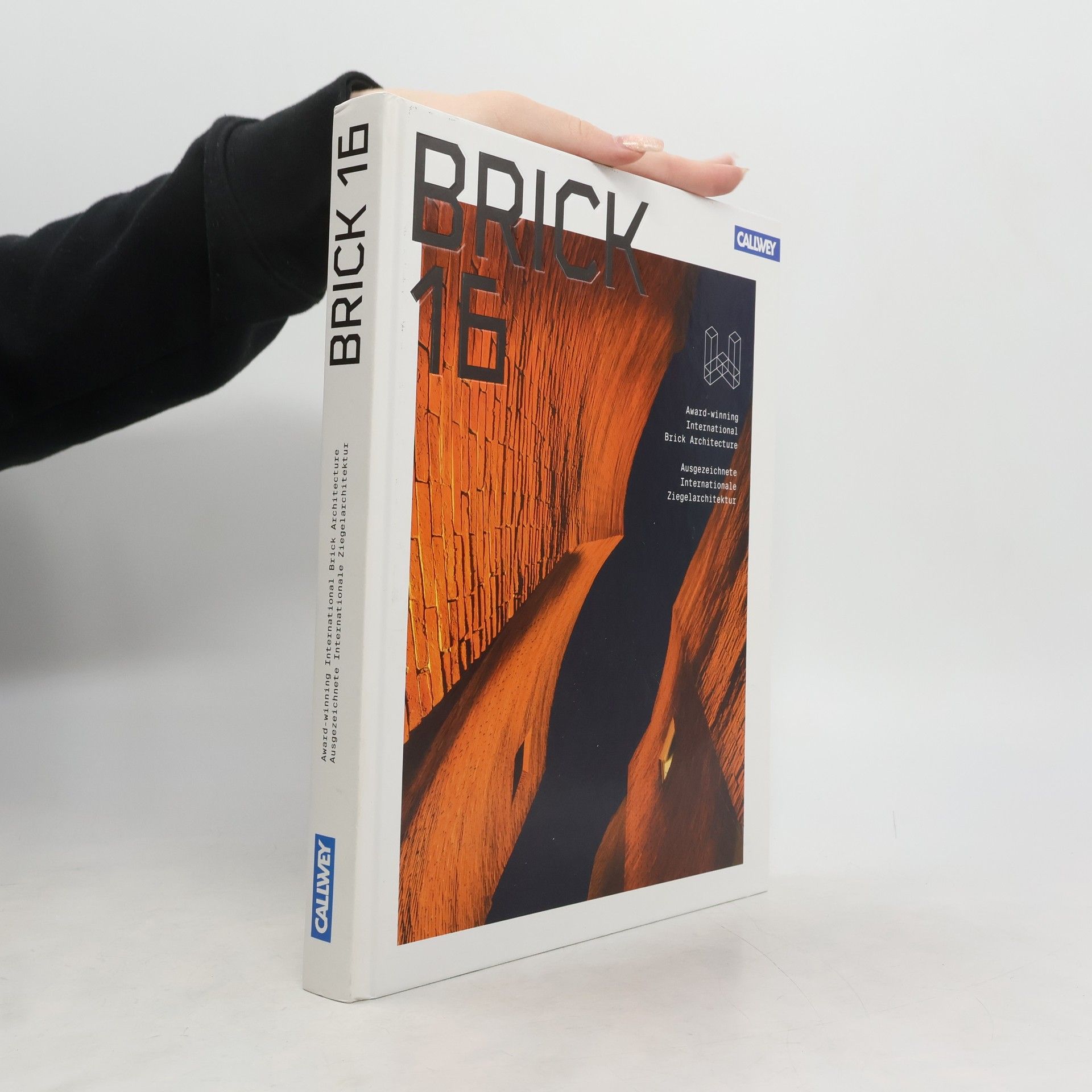 Wienerberger AG Brick 16