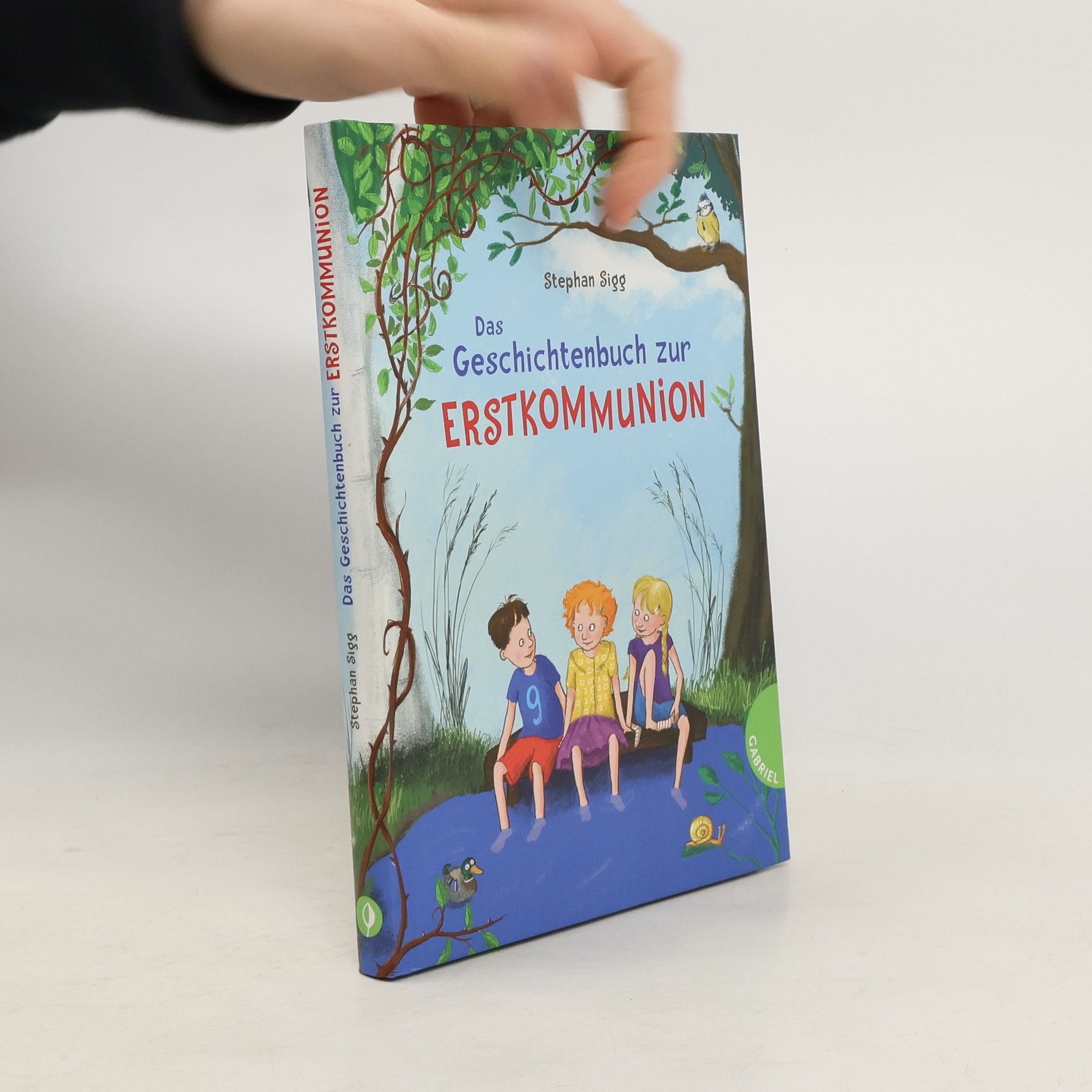 Stephan Sigg Das Geschichtenbuch zur Erstkommunion