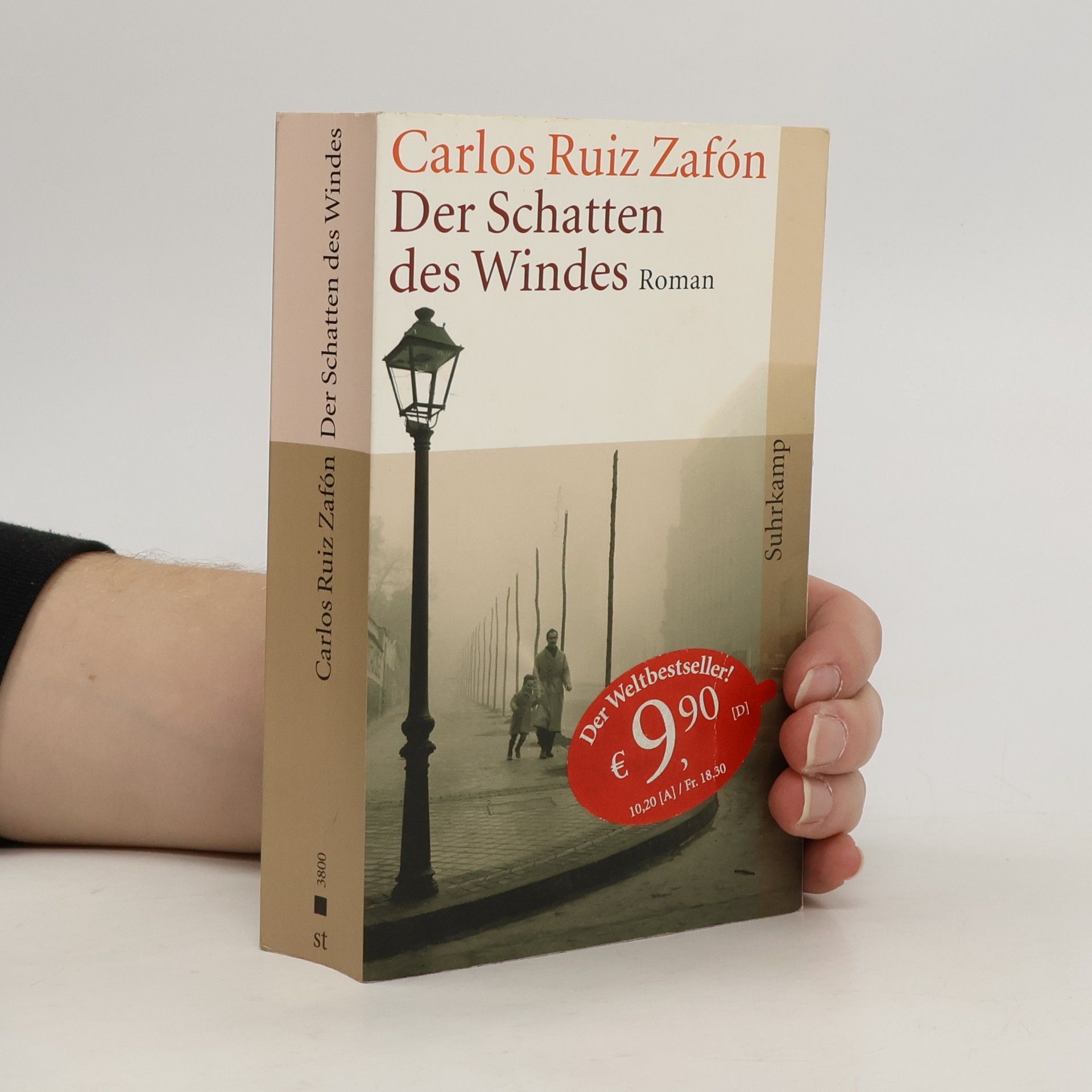 Carlos Ruiz Zafón Der Schatten des Windes