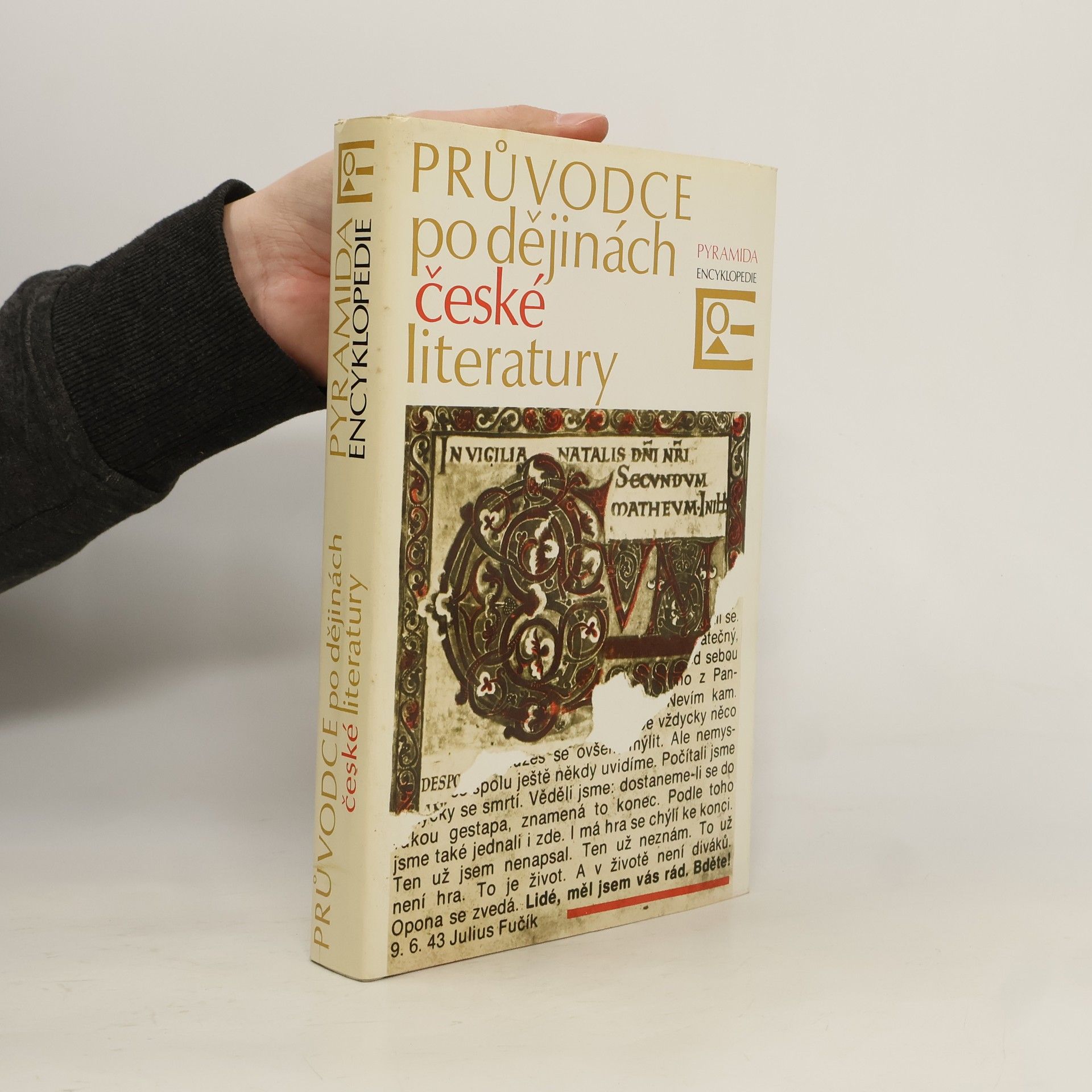 Průvodce po dějinách české literatury