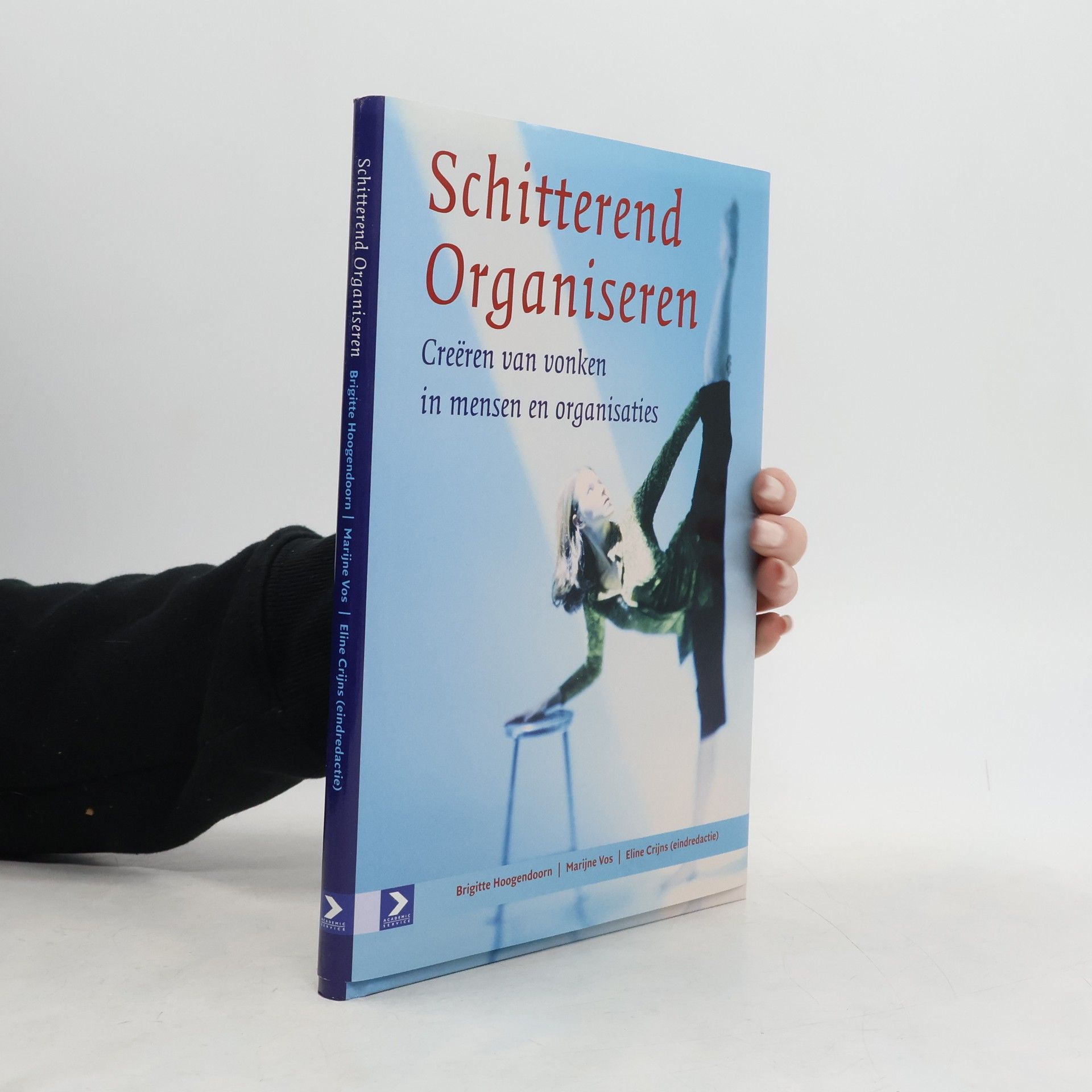 Brigitte Hoogendoorn Schitterend organiseren