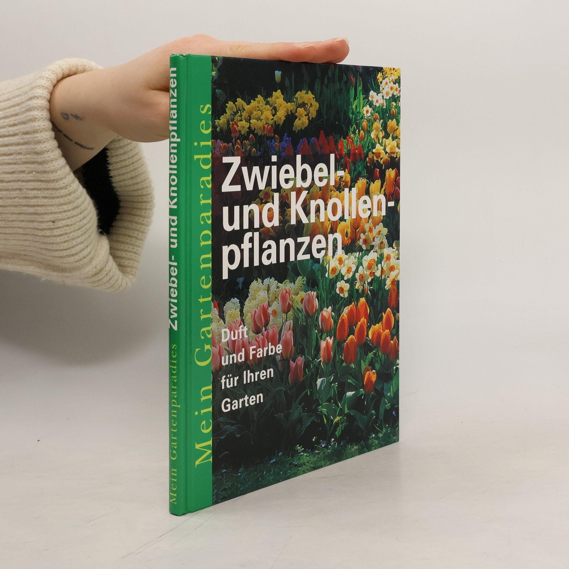 kolektiv Zwiebel und Knollenpflanzen