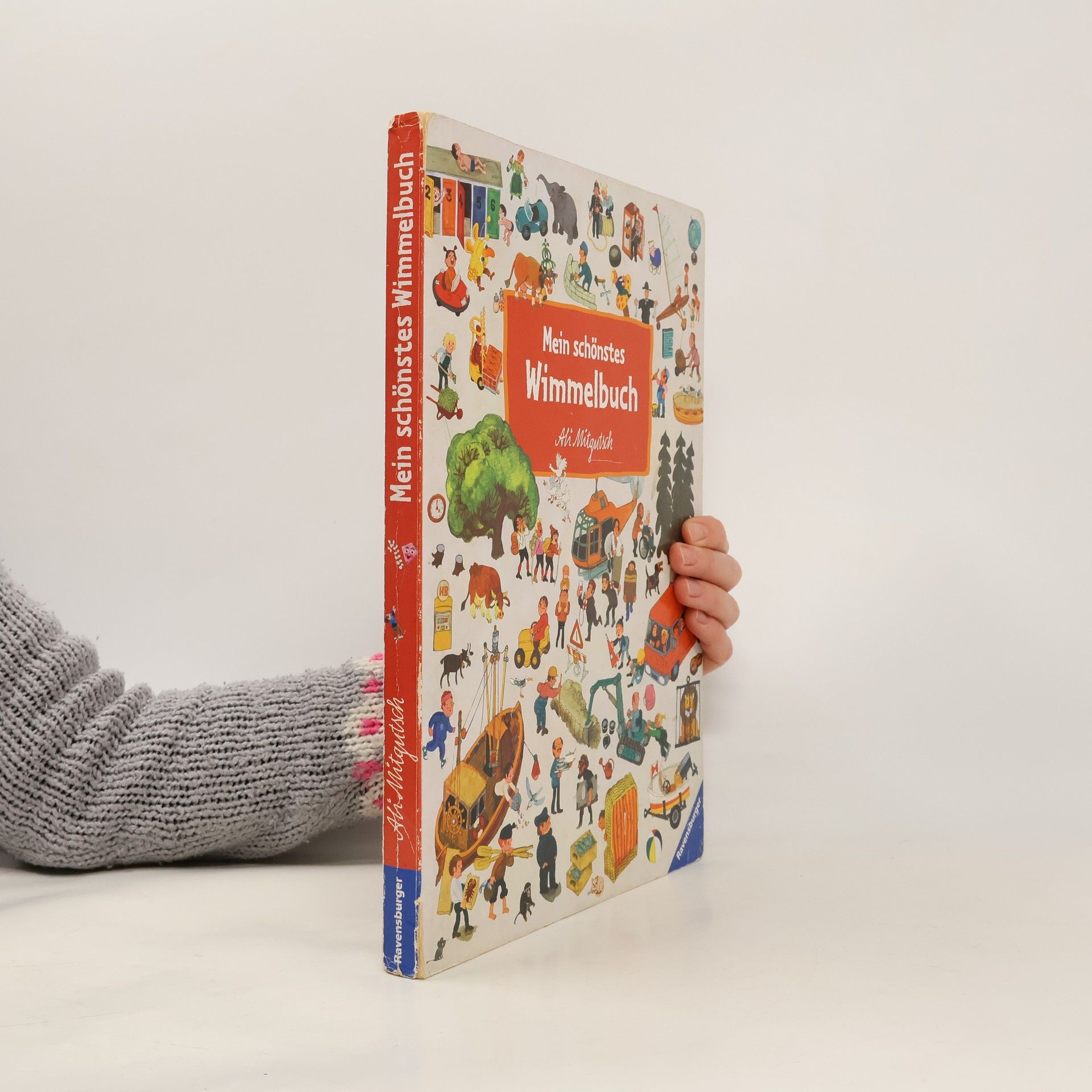 Mein schönstes Wimmelbuch