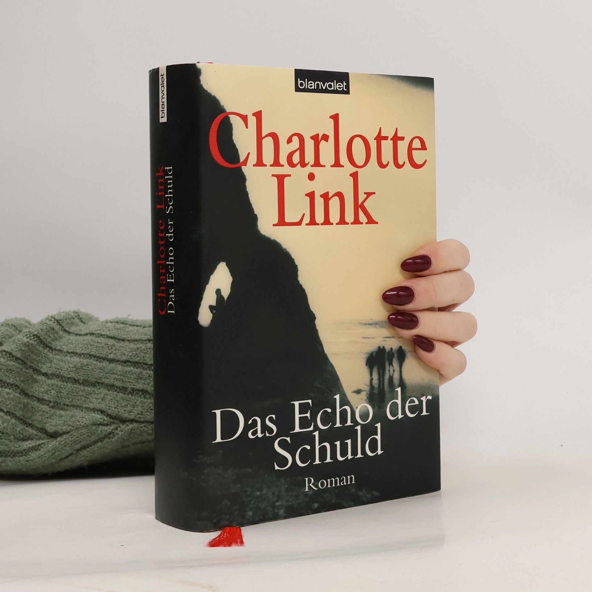 Charlotte Link Das Echo der Schuld