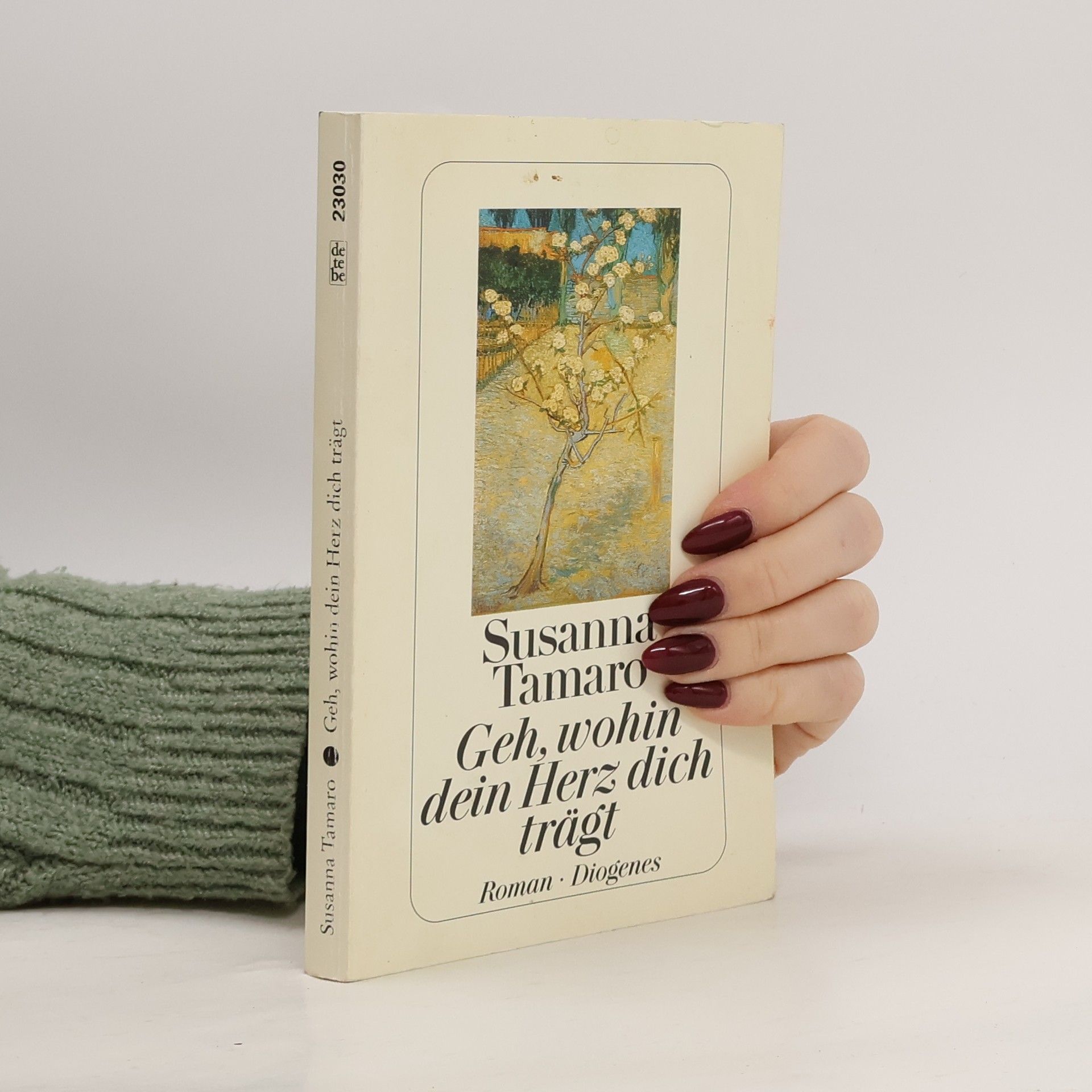 Susanna Tamaro Geh, wohin dein Herz dich trägt