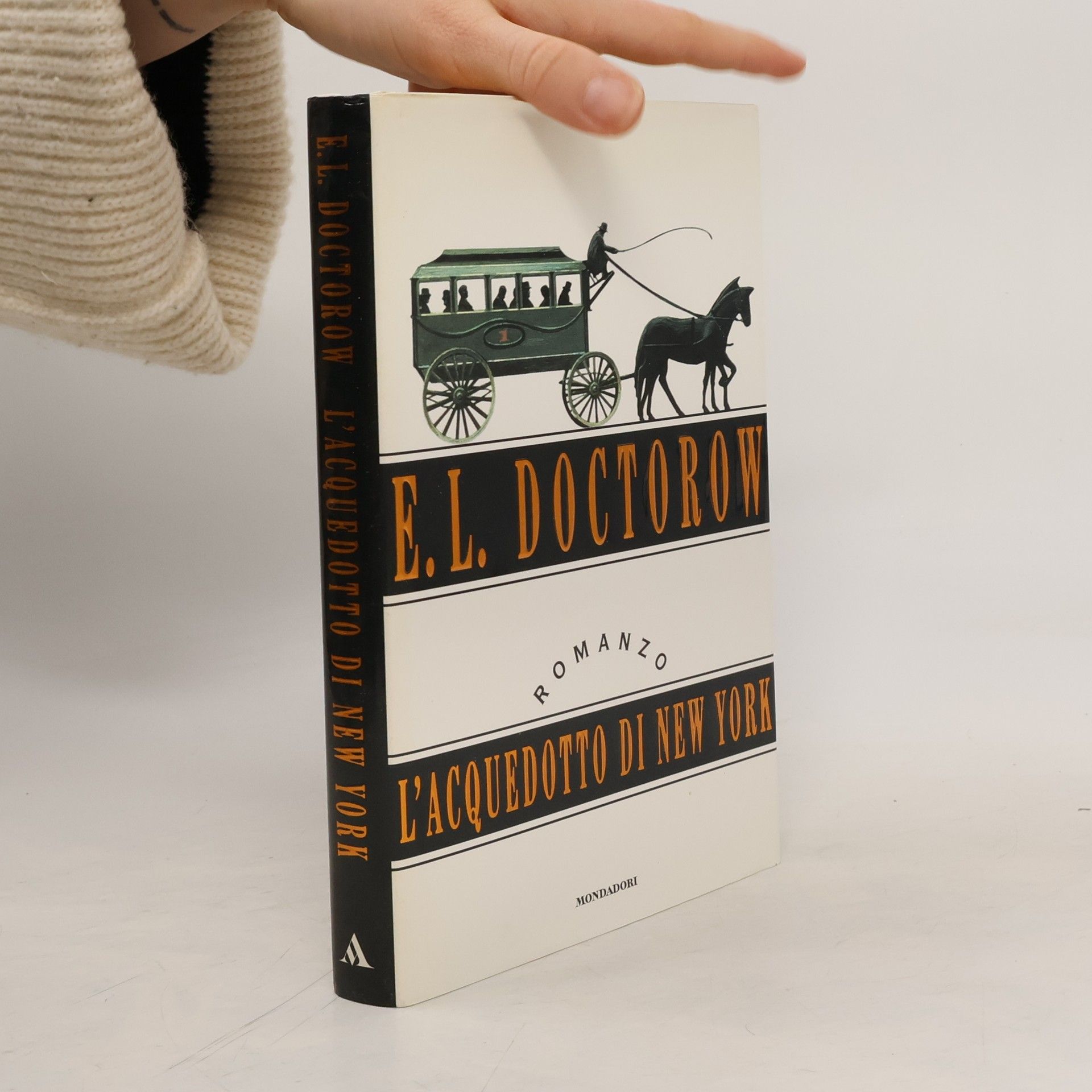 E. L. Doctorow L'acquedotto di New York