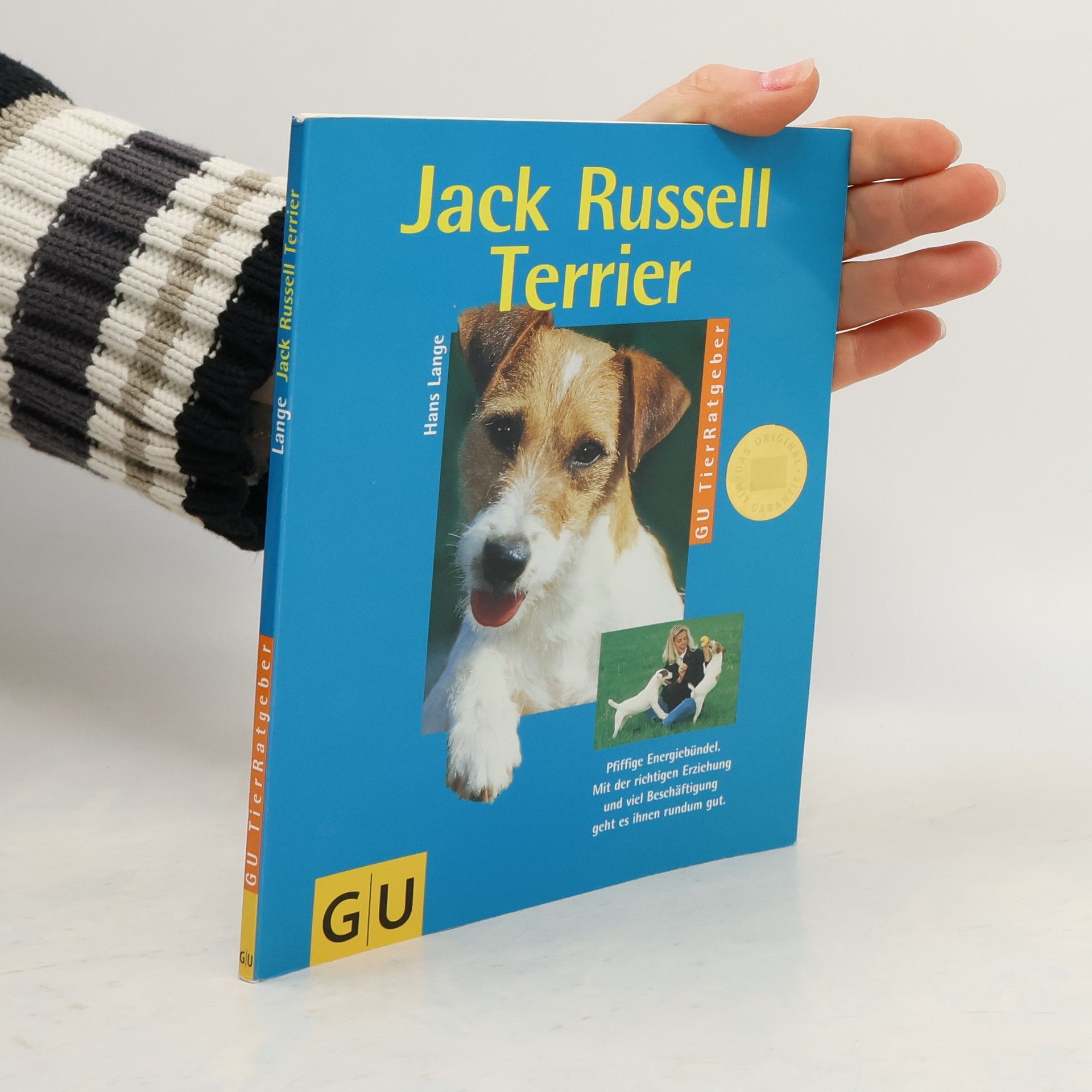 Jack-Russell-Terrier richtig pflegen und verstehen