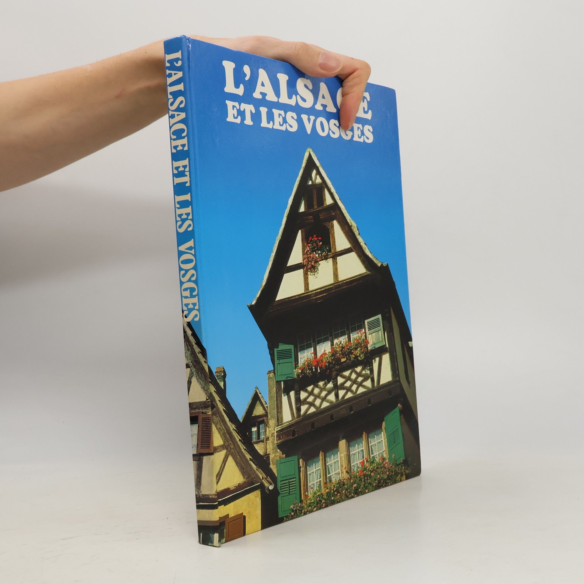 Collectif d'auteurs L'alsace et les Vosges