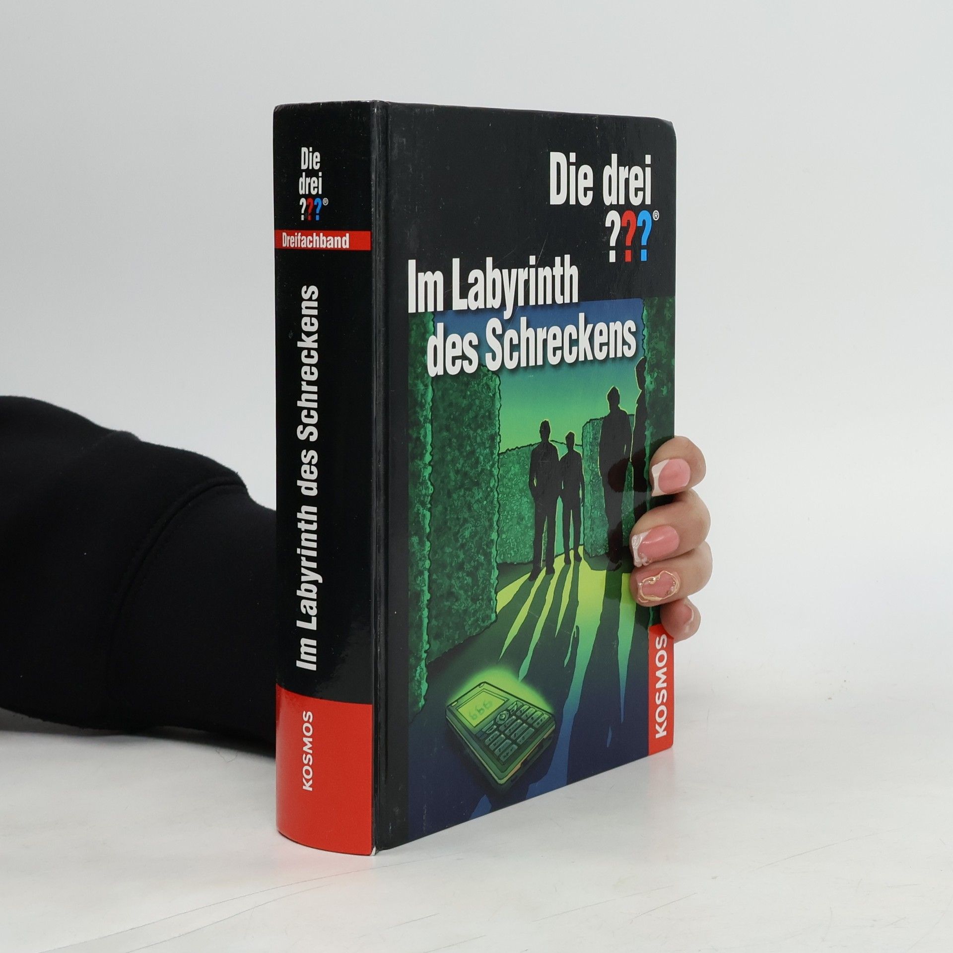 Die drei ??? - im Labyrinth des Schreckens