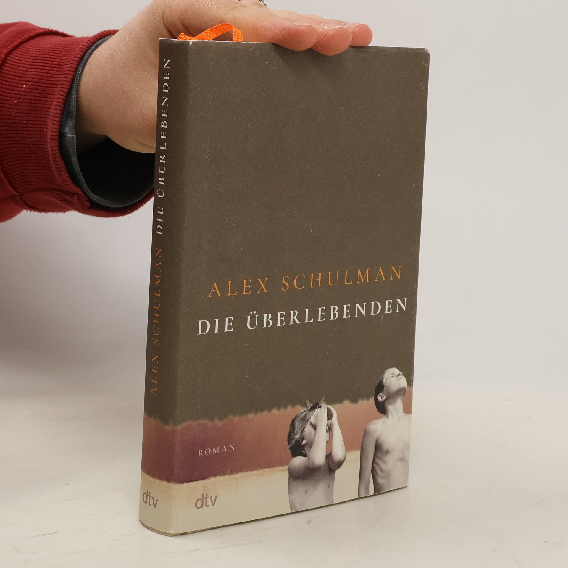 Alex Schulman Die Überlebenden