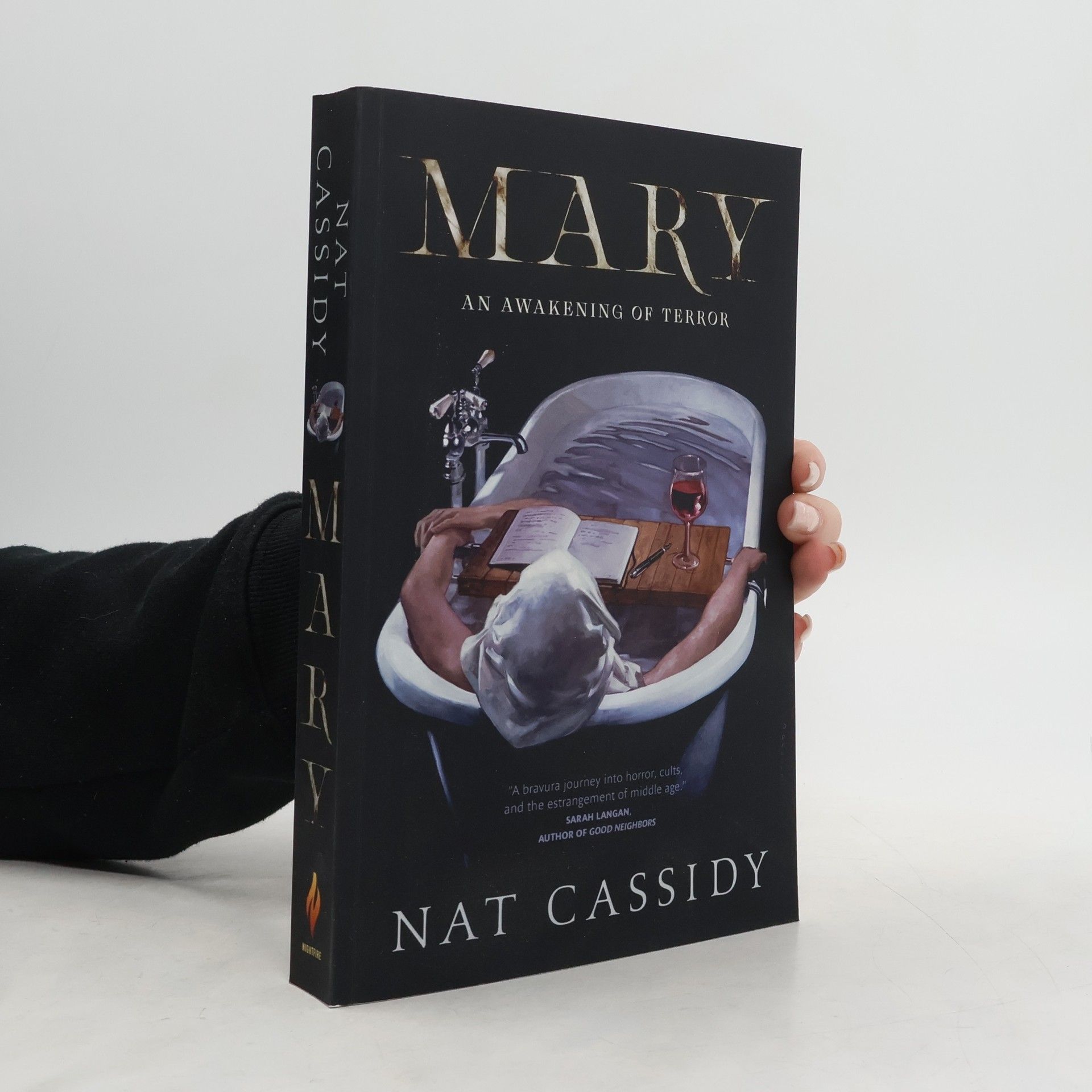 Mary: An Awakening of Terror