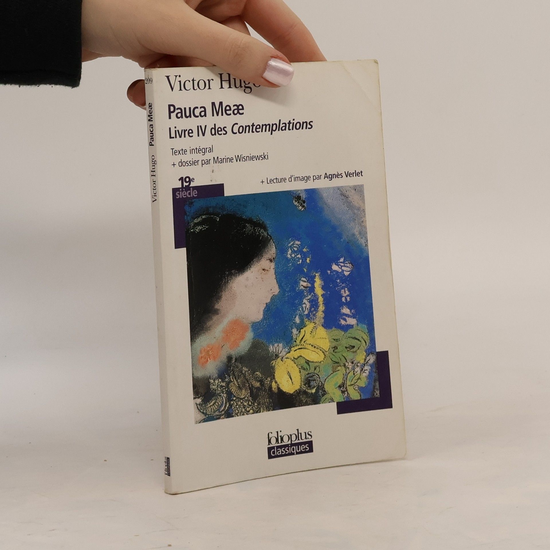 Les Contemplations - 4: Pauca Meæ