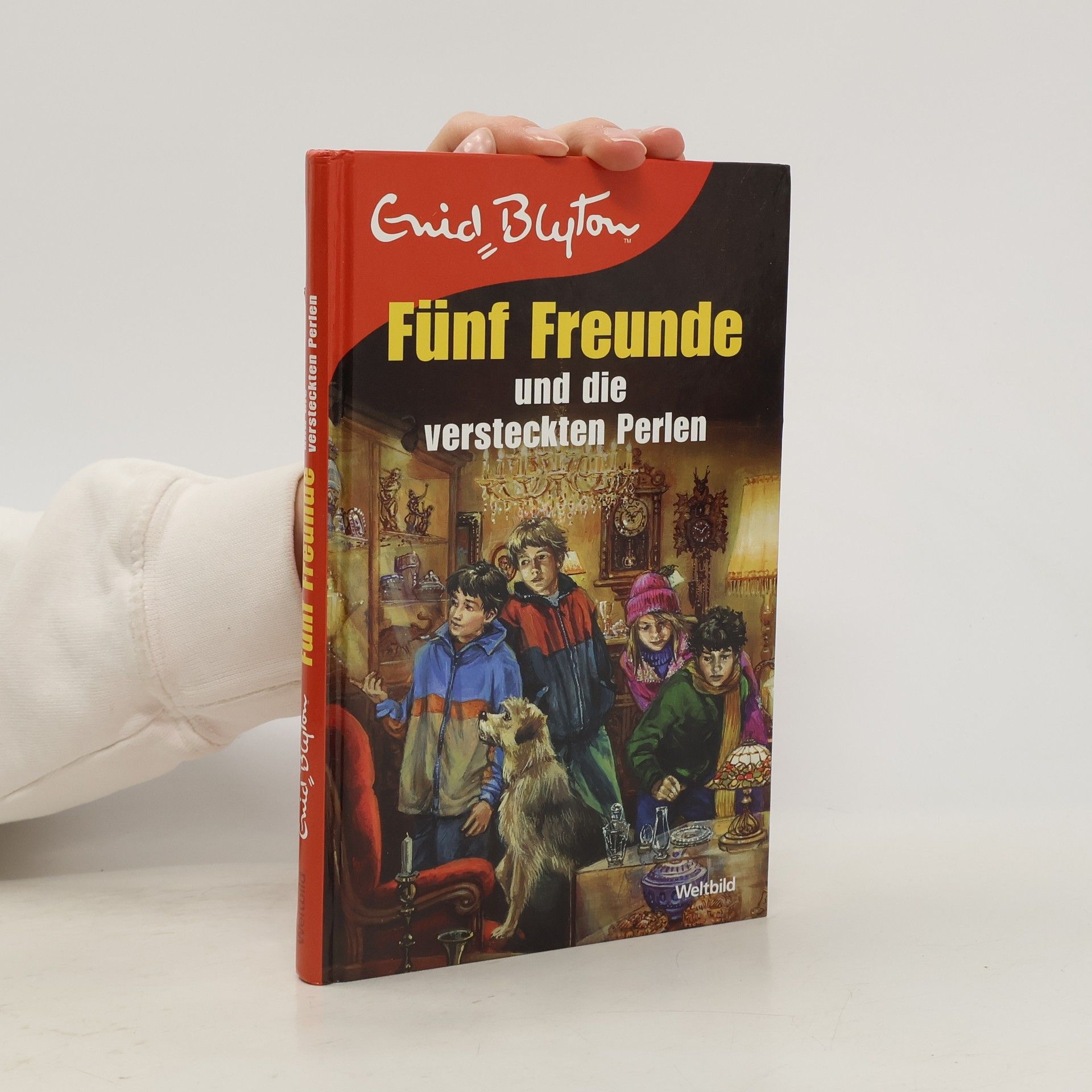 Enid Blyton Fünf Freunde und die verstecken Perlen