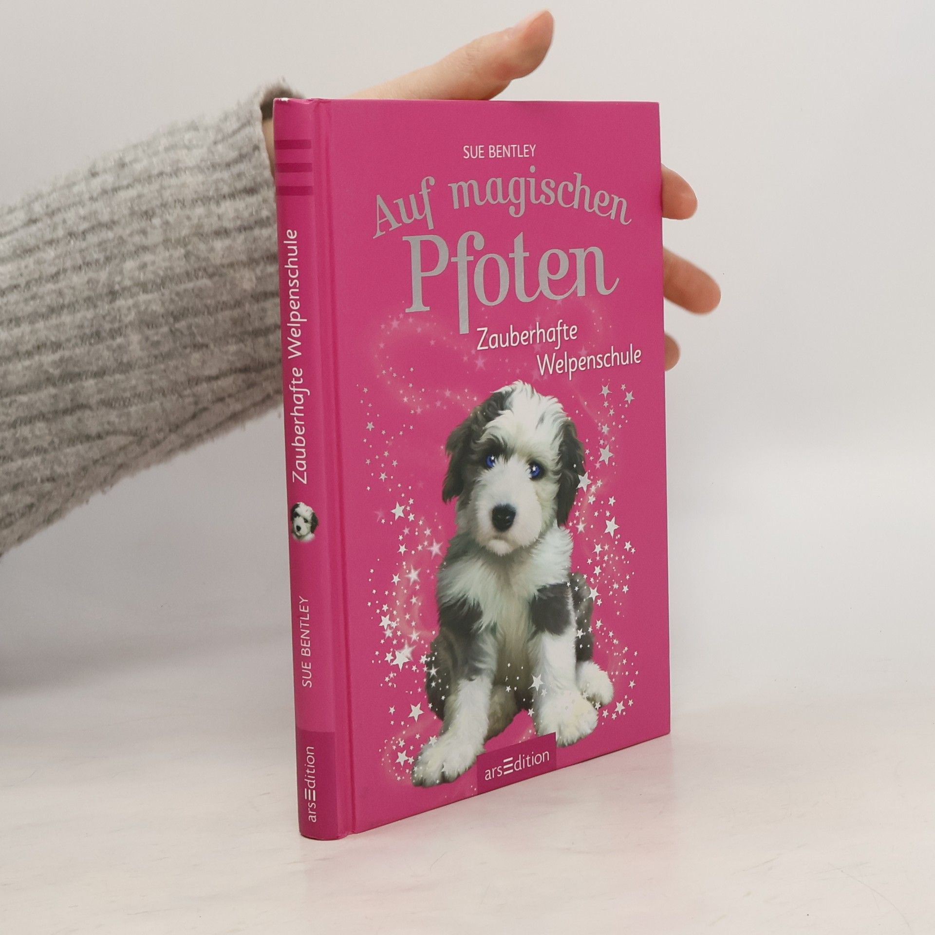 Sue Bentley Auf magischen Pfoten - Zauberhafte Welpenschule